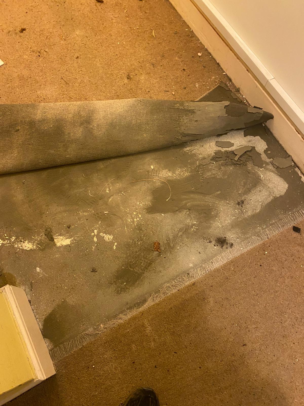 WhatsApp Image 2021-01-07 at 19.20.17.jpeg