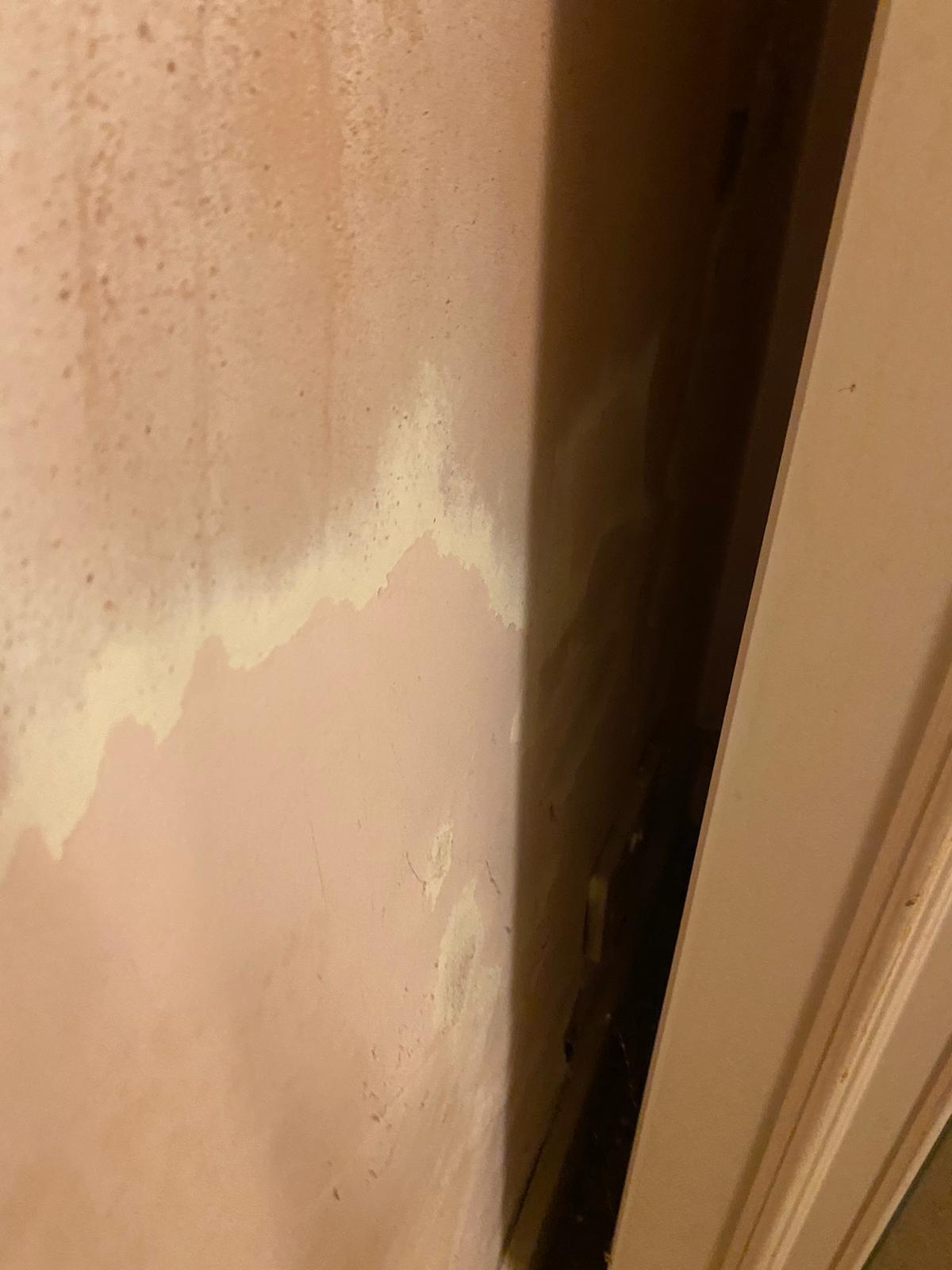 WhatsApp Image 2021-01-07 at 19.20.18 (1).jpeg