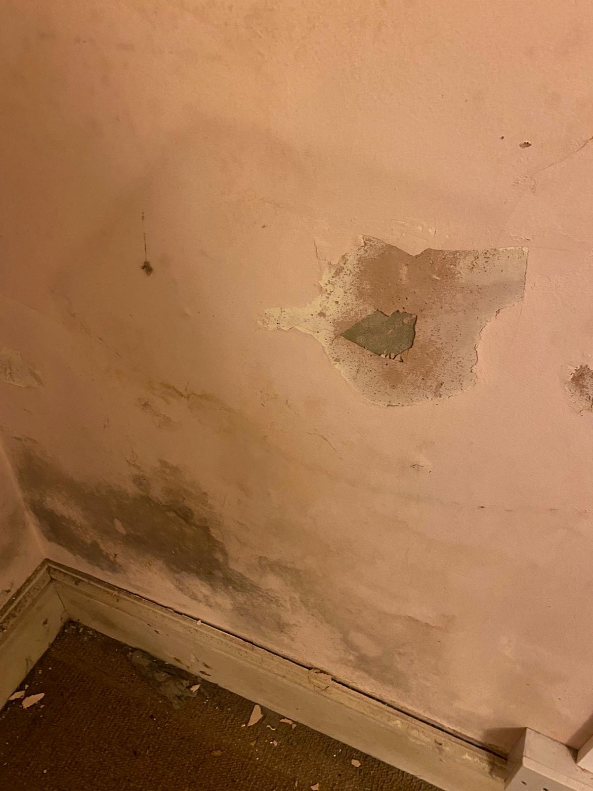 WhatsApp Image 2021-01-07 at 19.20.18.jpeg