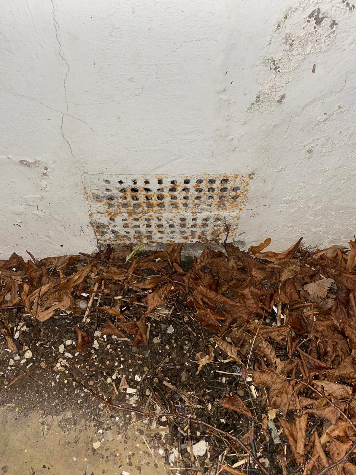 WhatsApp Image 2021-01-07 at 19.20.19.jpeg