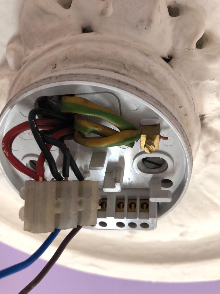 WhatsApp Image 2021-06-09 at 13.25.41.jpeg