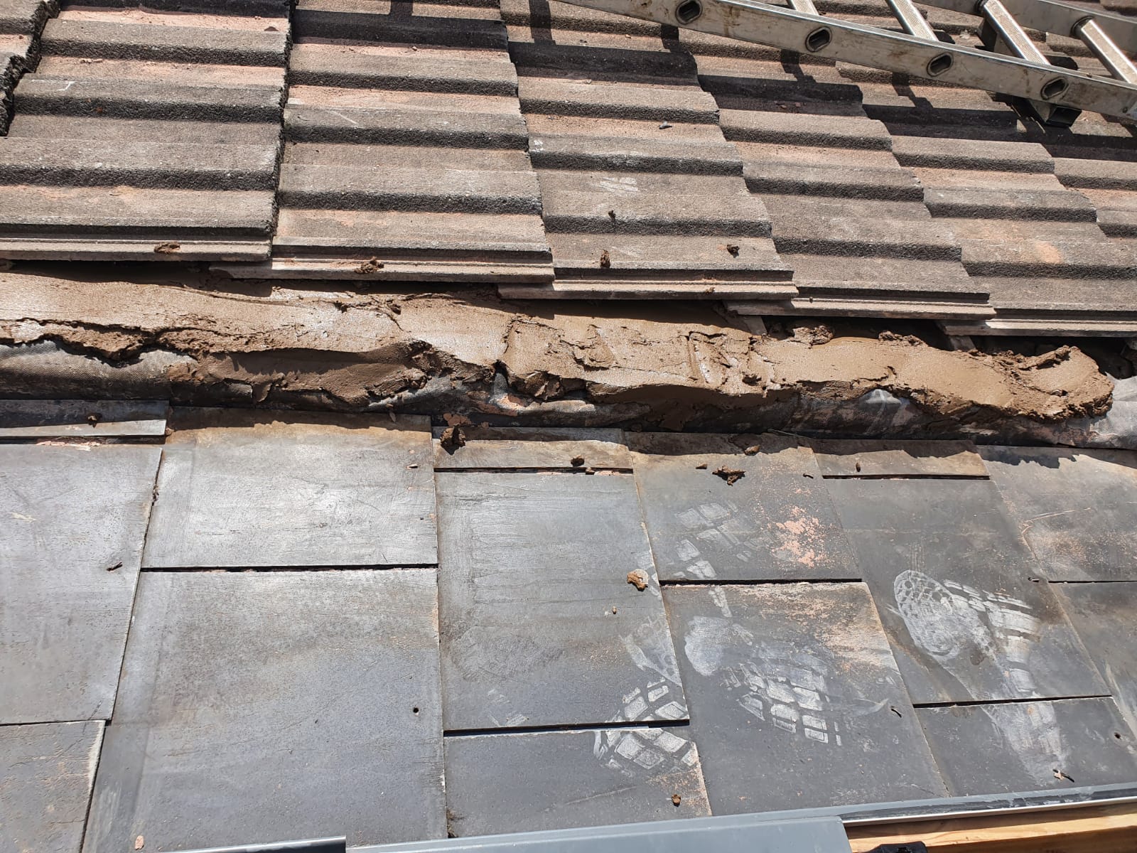 WhatsApp Image 2021-06-11 at 18.08.08 (1).jpeg