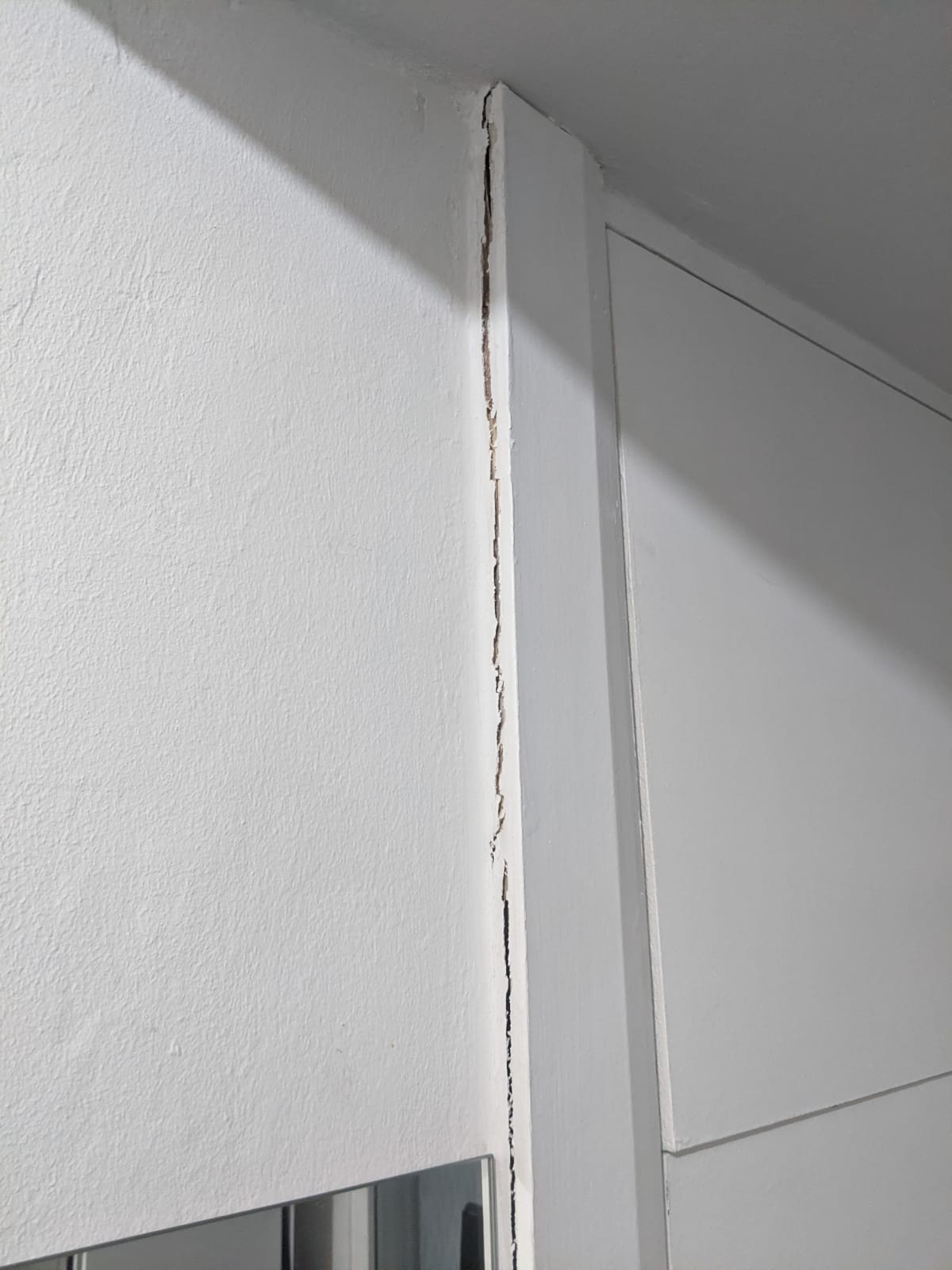 WhatsApp Image 2021-07-16 at 23.05.42 (2).jpeg