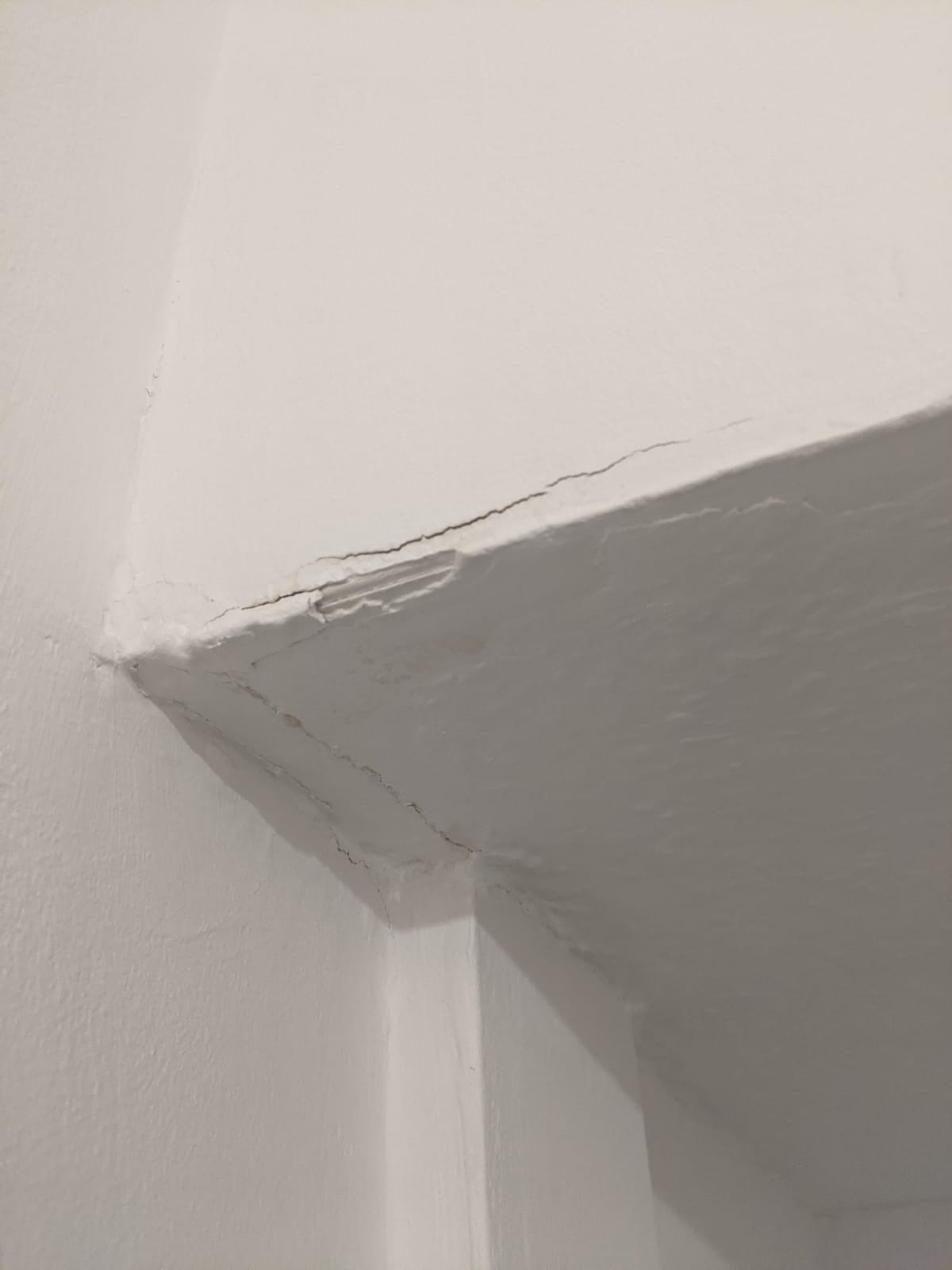 WhatsApp Image 2021-07-16 at 23.22.07.jpeg