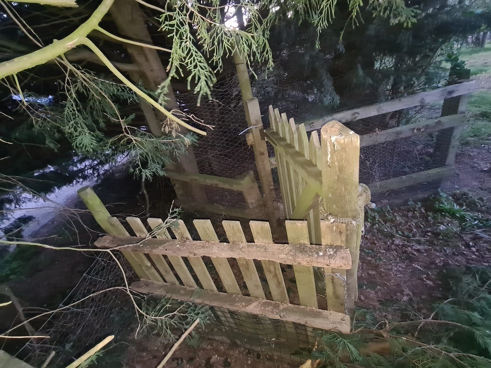 WhatsApp Image 2022-04-03 at 00.29.42 (1).jpeg