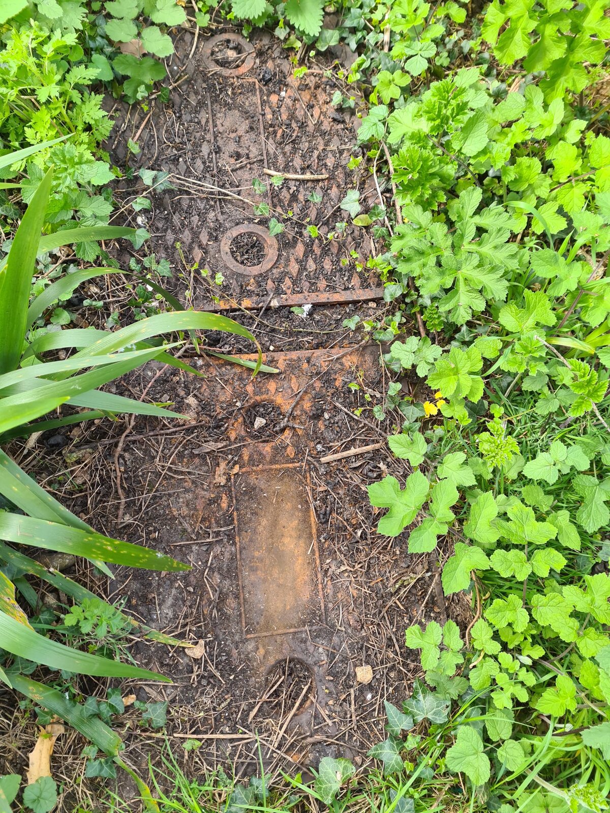 WhatsApp Image 2022-04-14 at 13.25.48.jpeg