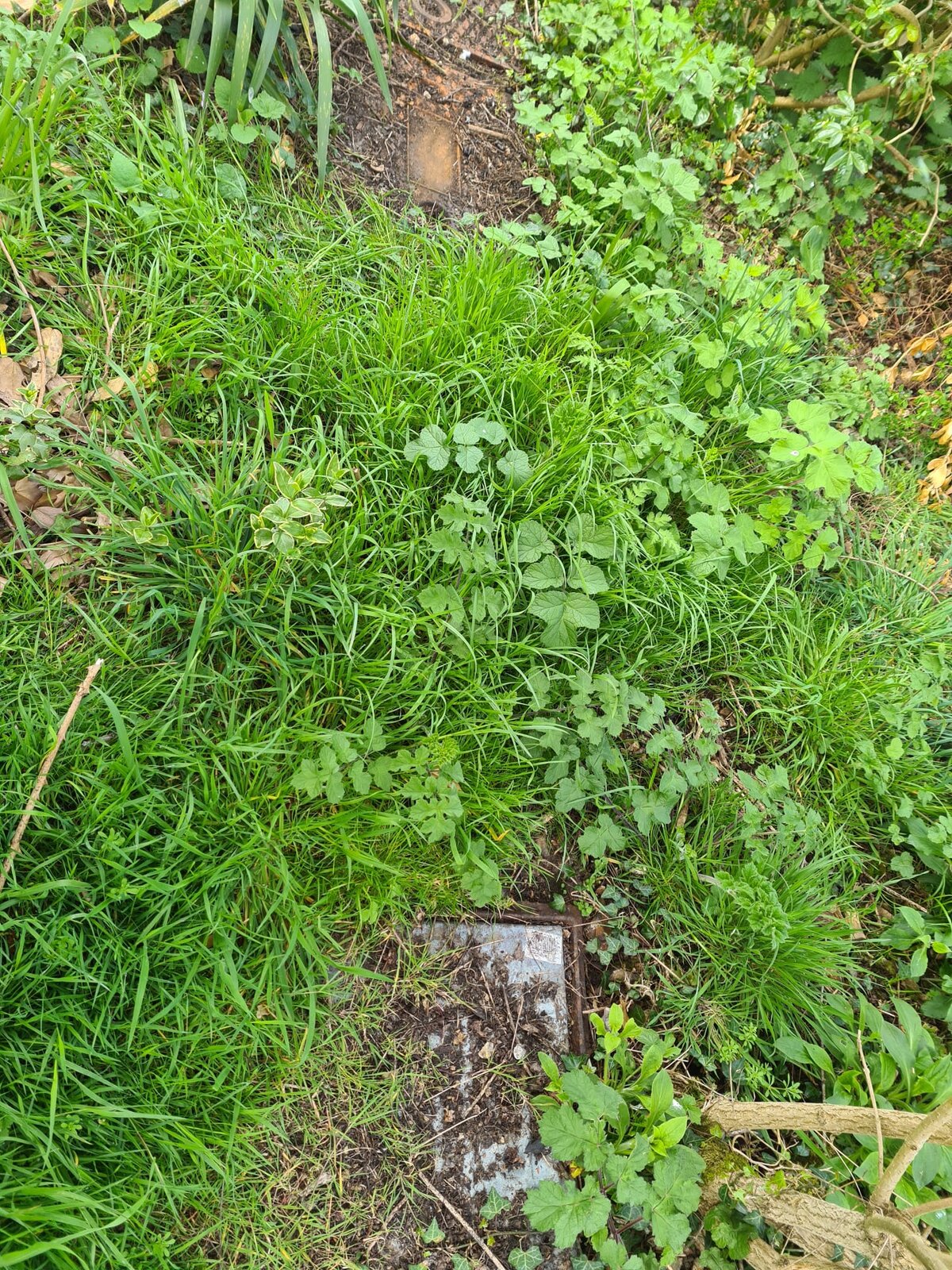 WhatsApp Image 2022-04-14 at 13.26.08.jpeg