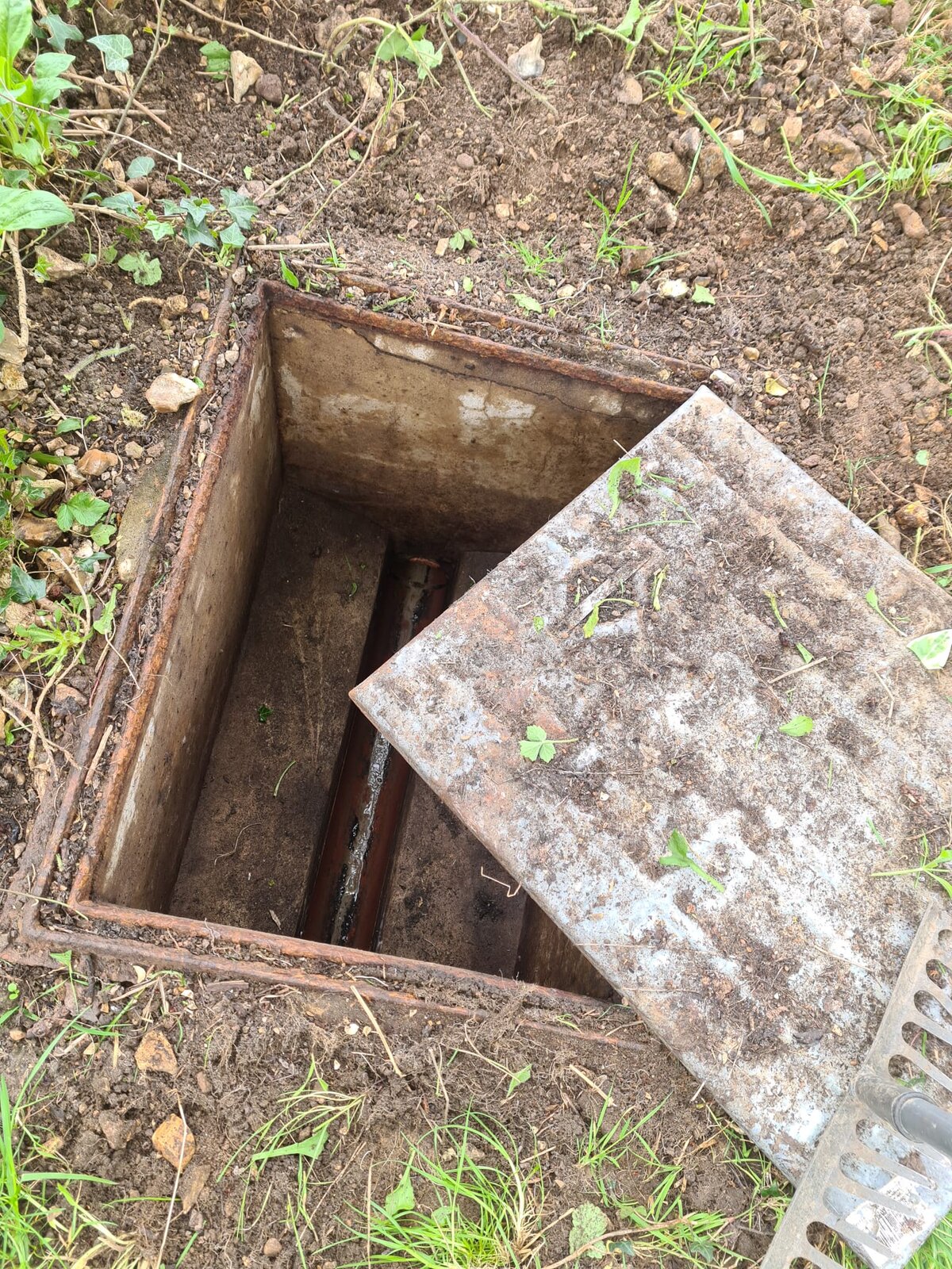 WhatsApp Image 2022-04-15 at 00.52.56.jpeg