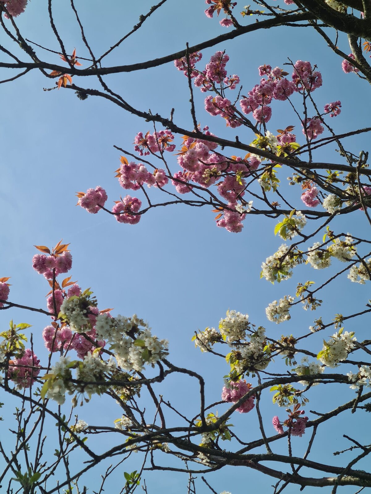 WhatsApp Image 2022-04-16 at 14.57.04.jpeg