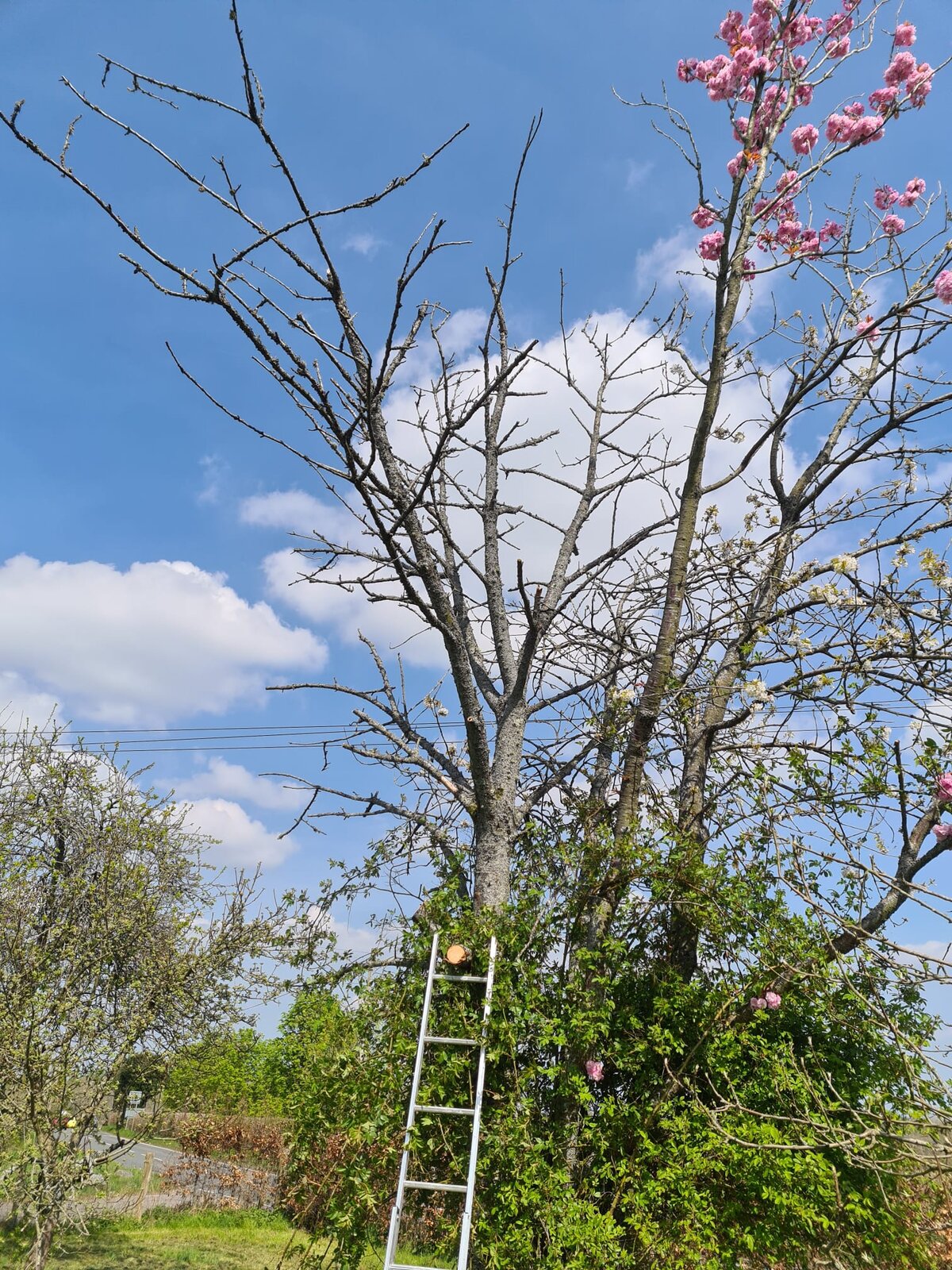 WhatsApp Image 2022-04-16 at 14.57.21.jpeg