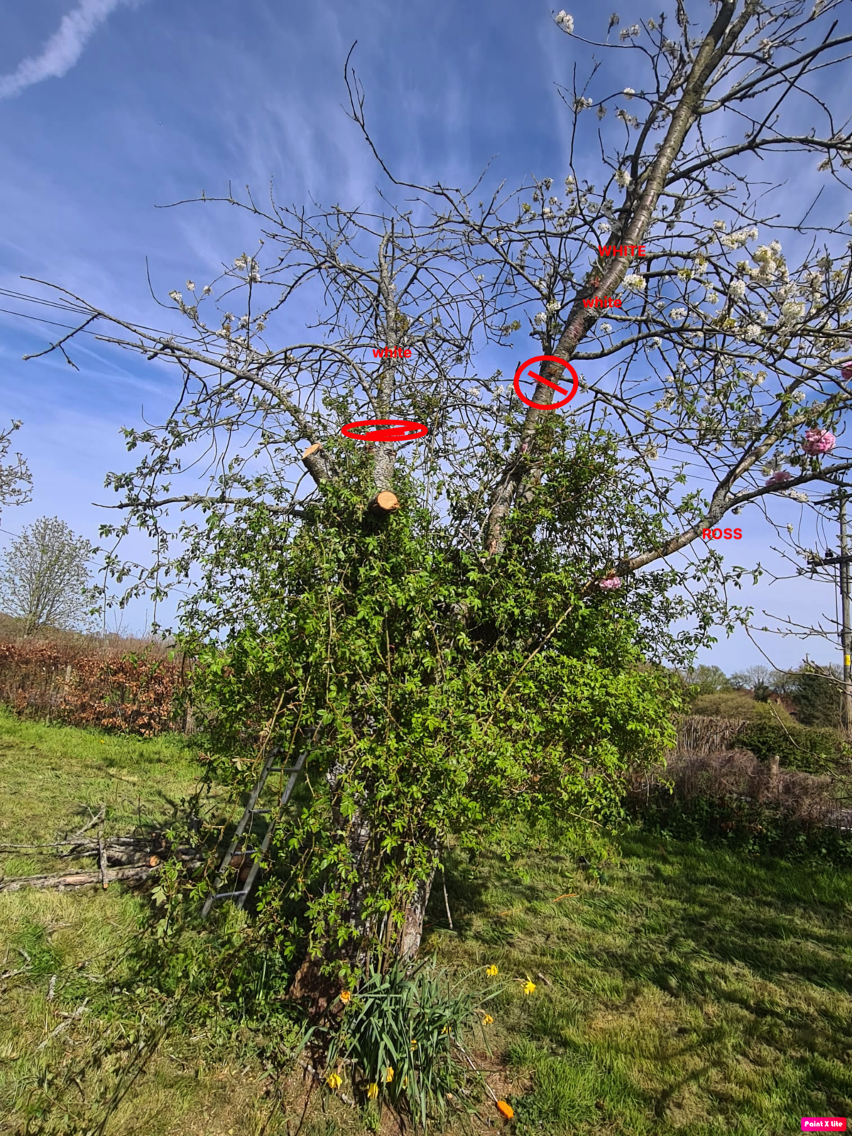 WhatsApp Image 2022-04-17 at 3.29.36 PM.png