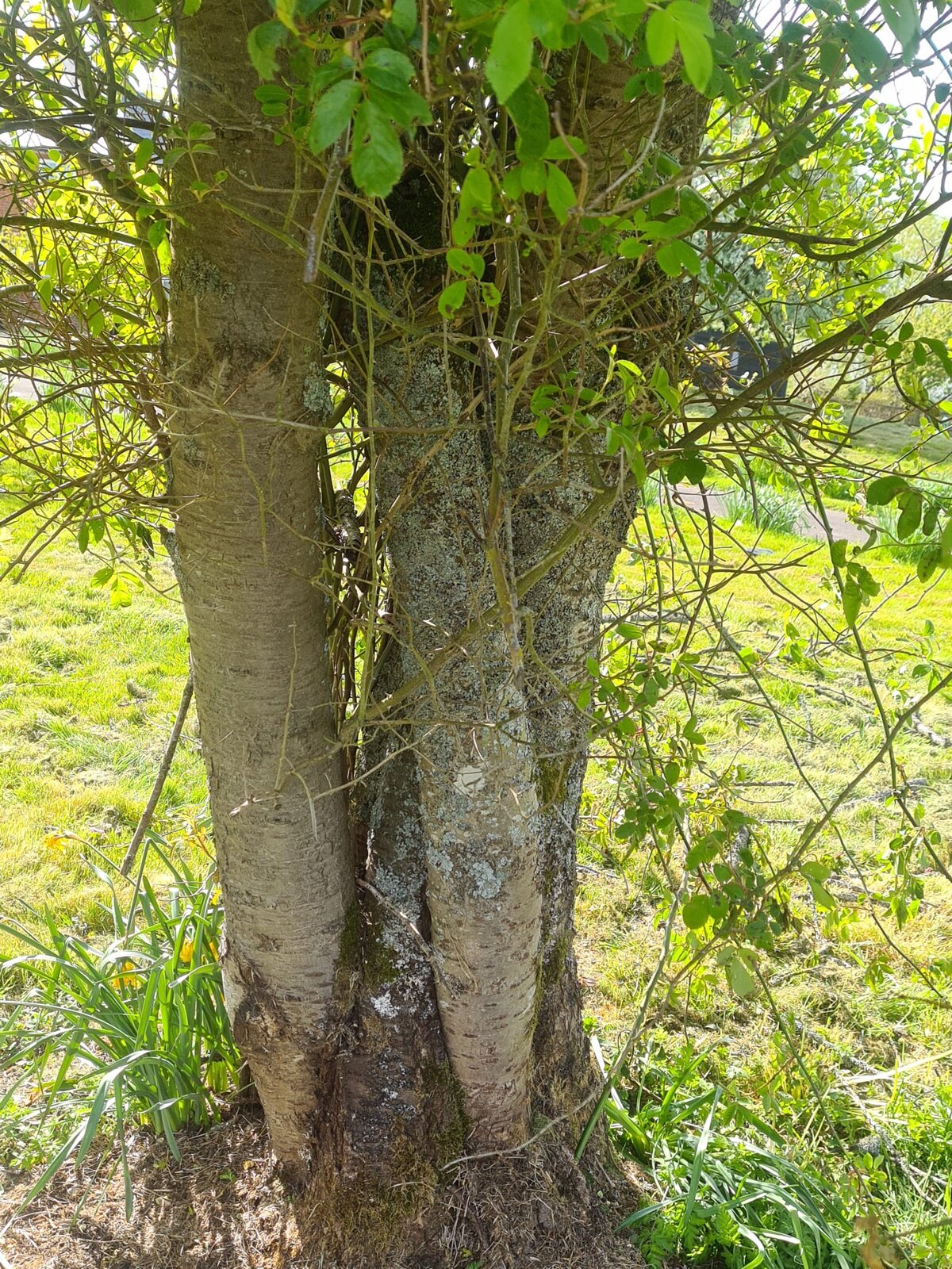 WhatsApp Image 2022-04-17 at 3.30.14 PM.jpeg