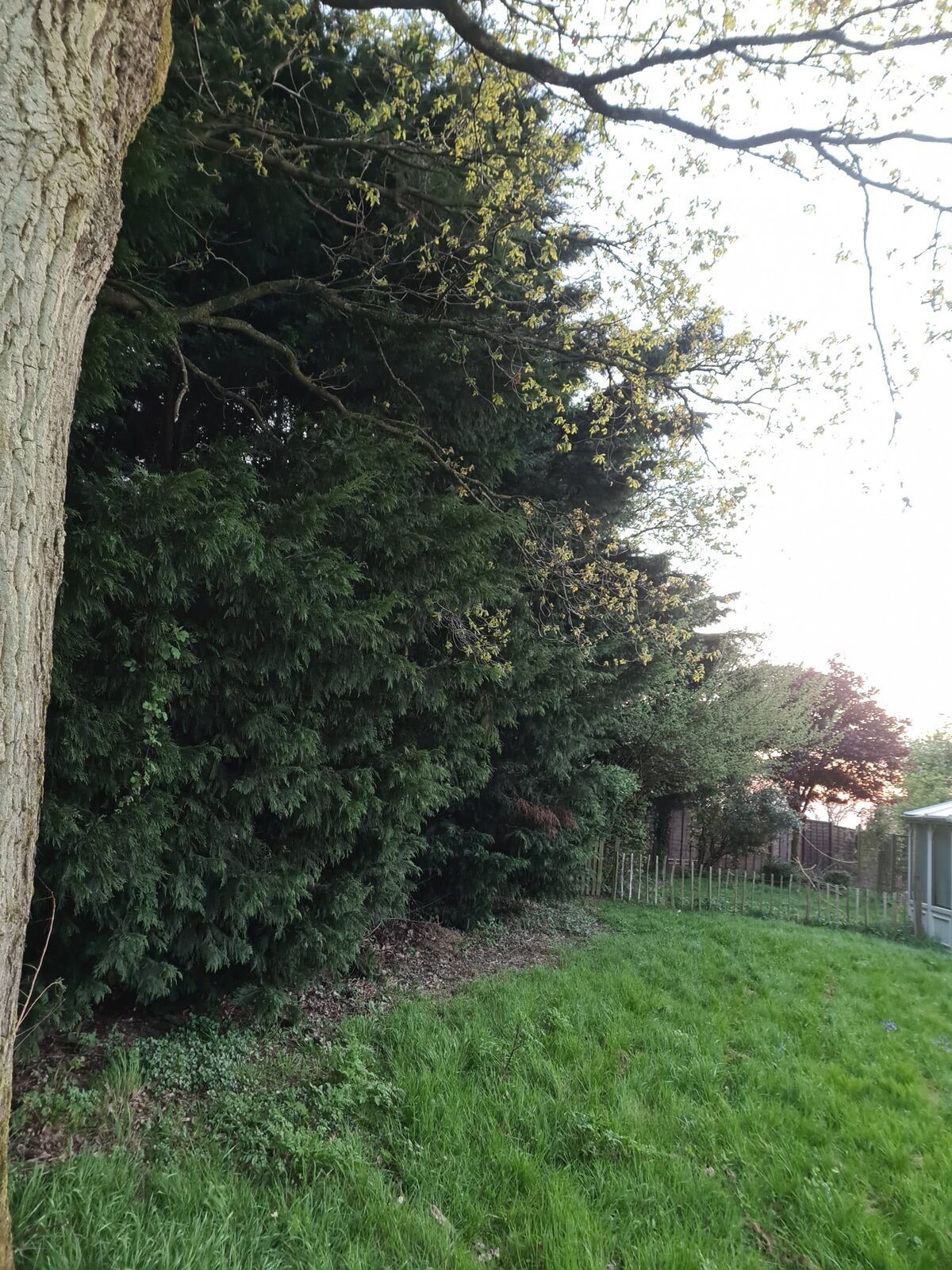 WhatsApp Image 2022-04-27 at 7.14.37 PM.jpeg