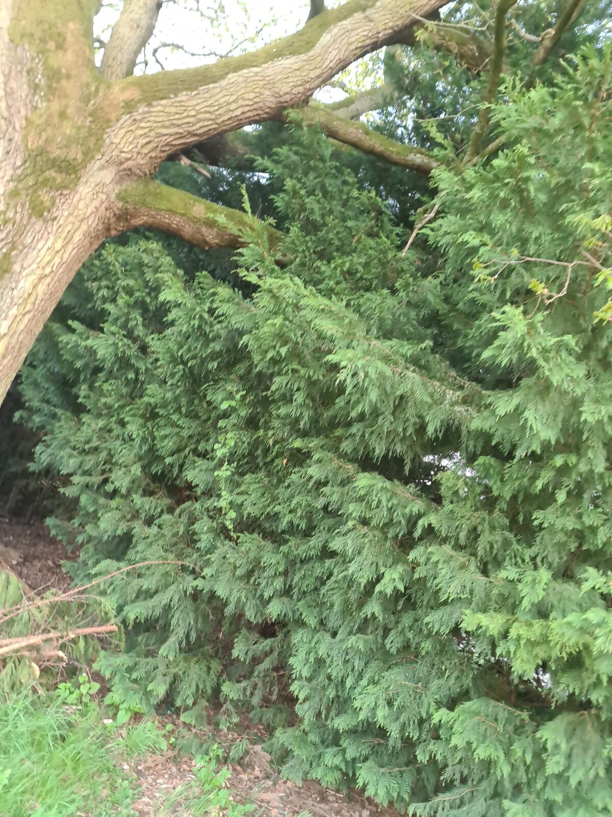 WhatsApp Image 2022-04-27 at 7.14.49 PM.jpeg