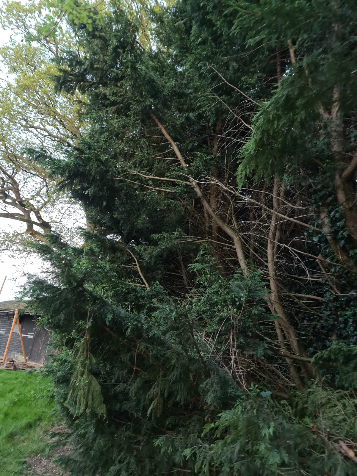 WhatsApp Image 2022-04-27 at 7.15.06 PM.jpeg