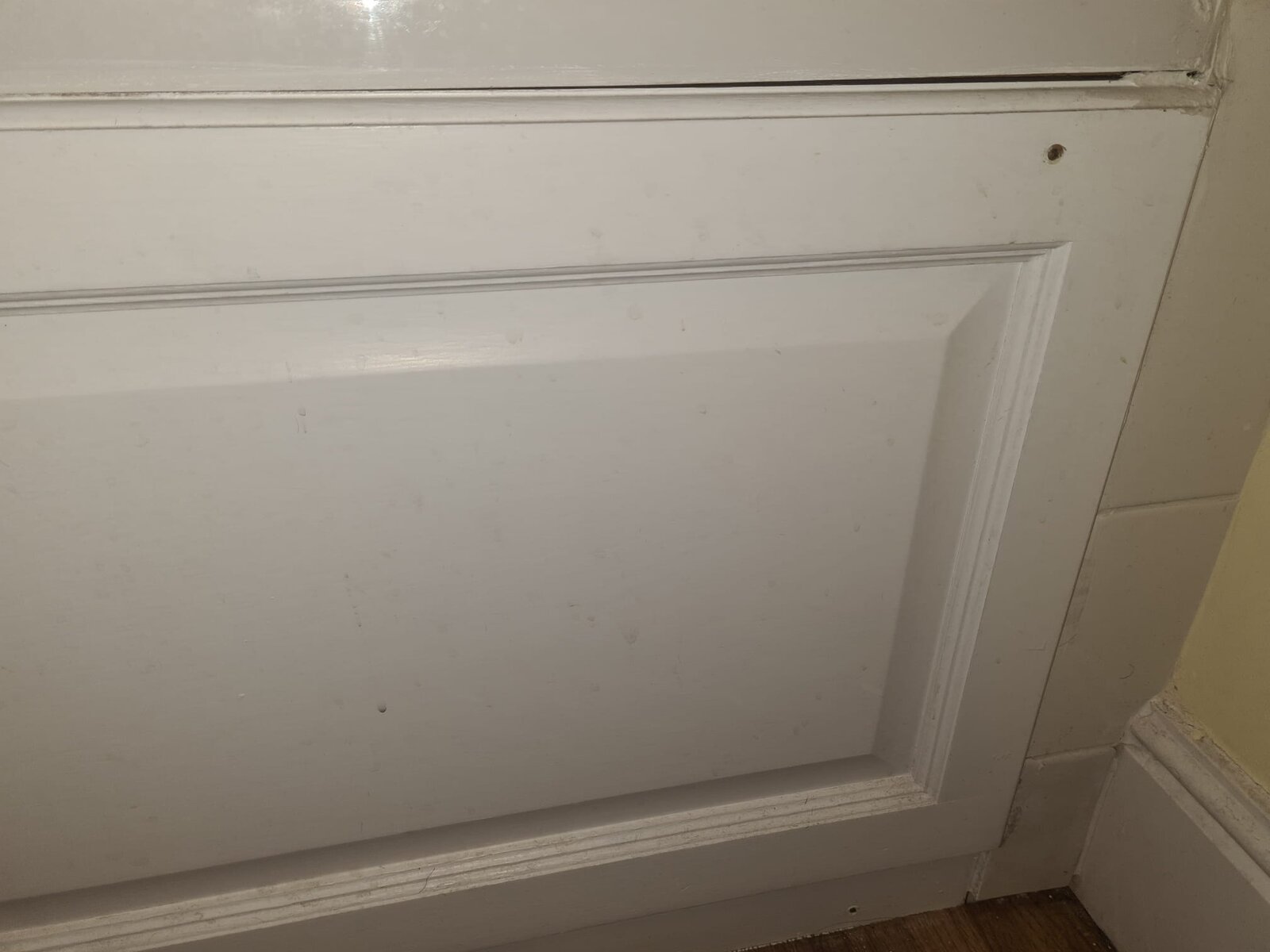 WhatsApp Image 2022-05-03 at 8.11.04 PM.jpeg