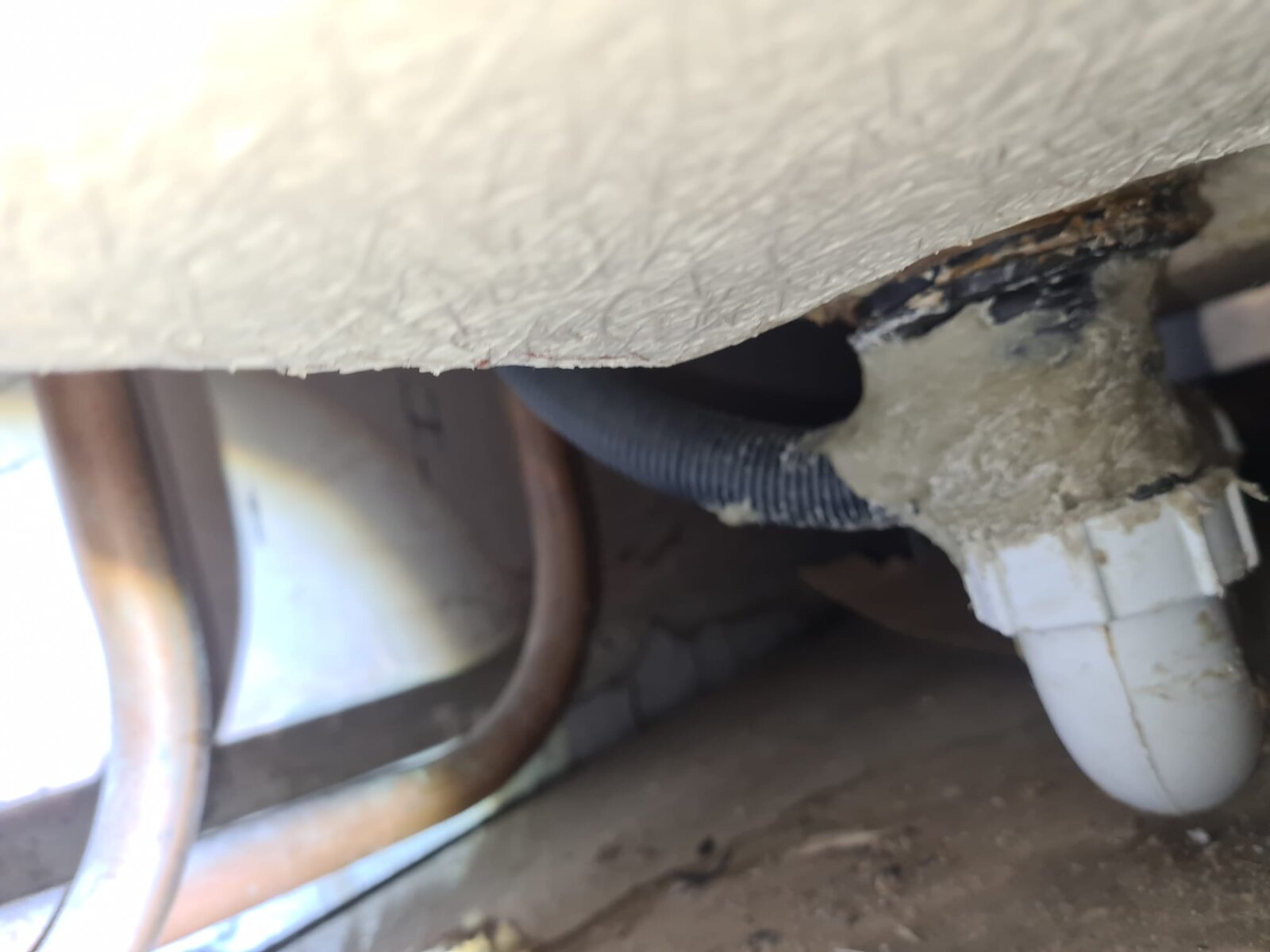 WhatsApp Image 2022-05-04 at 11.27.28 PM.jpeg