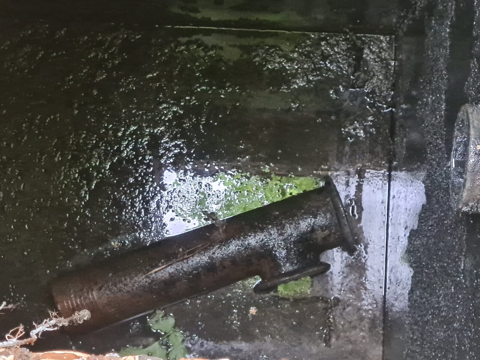 WhatsApp Image 2022-05-06 at 12.20.26 PM.jpeg