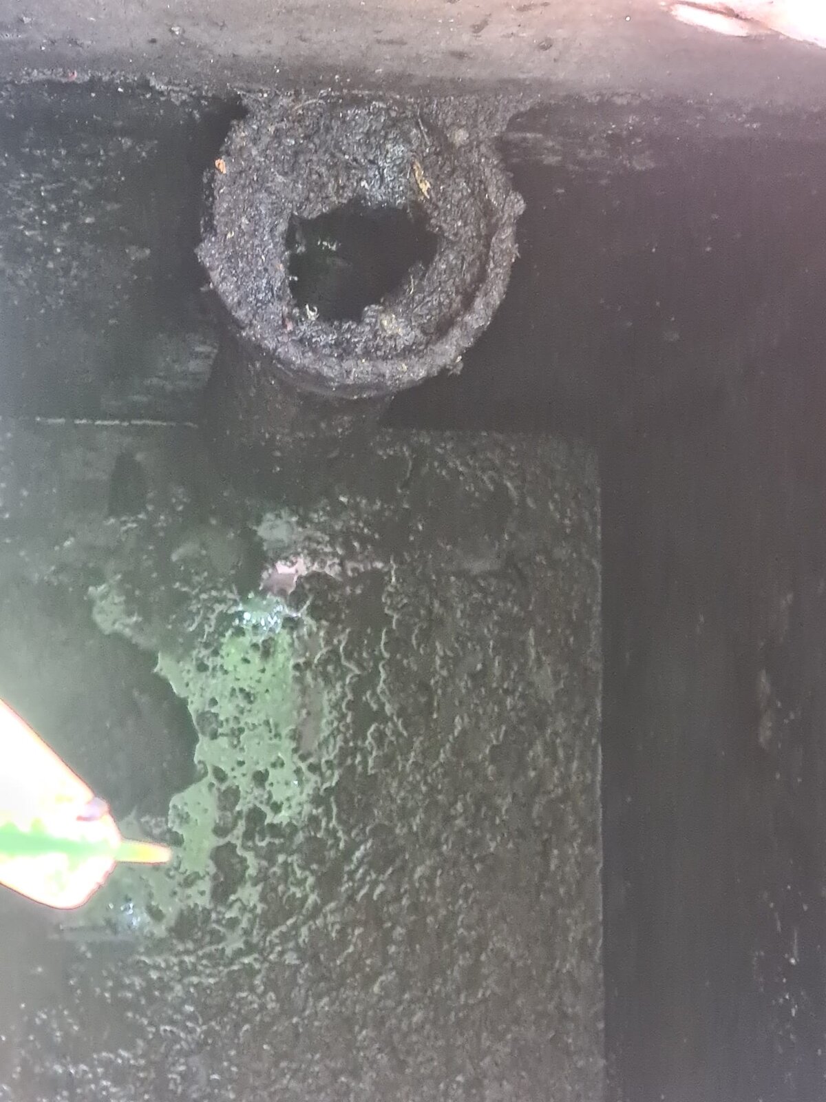 WhatsApp Image 2022-05-06 at 12.21.09 PM.jpeg