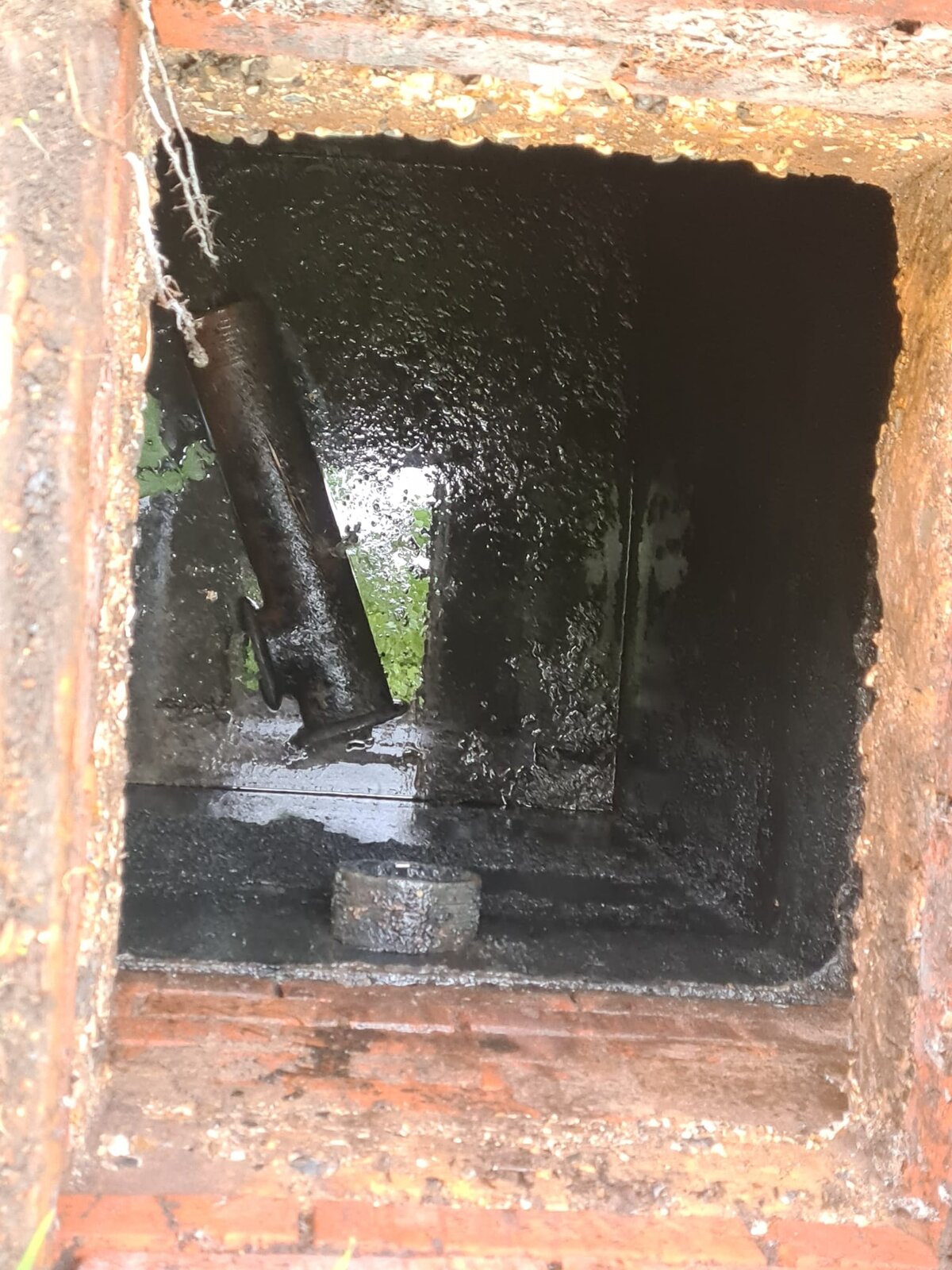 WhatsApp Image 2022-05-06 at 12.21.30 PM.jpeg