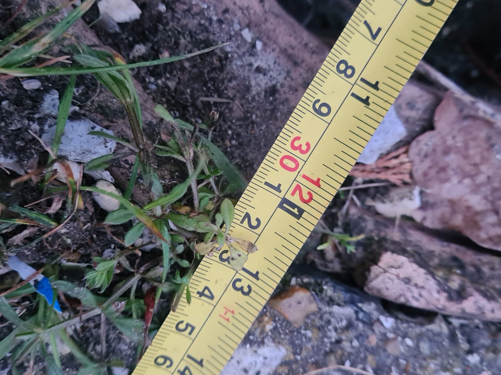 WhatsApp Image 2022-05-13 at 12.28.18 AM.jpeg