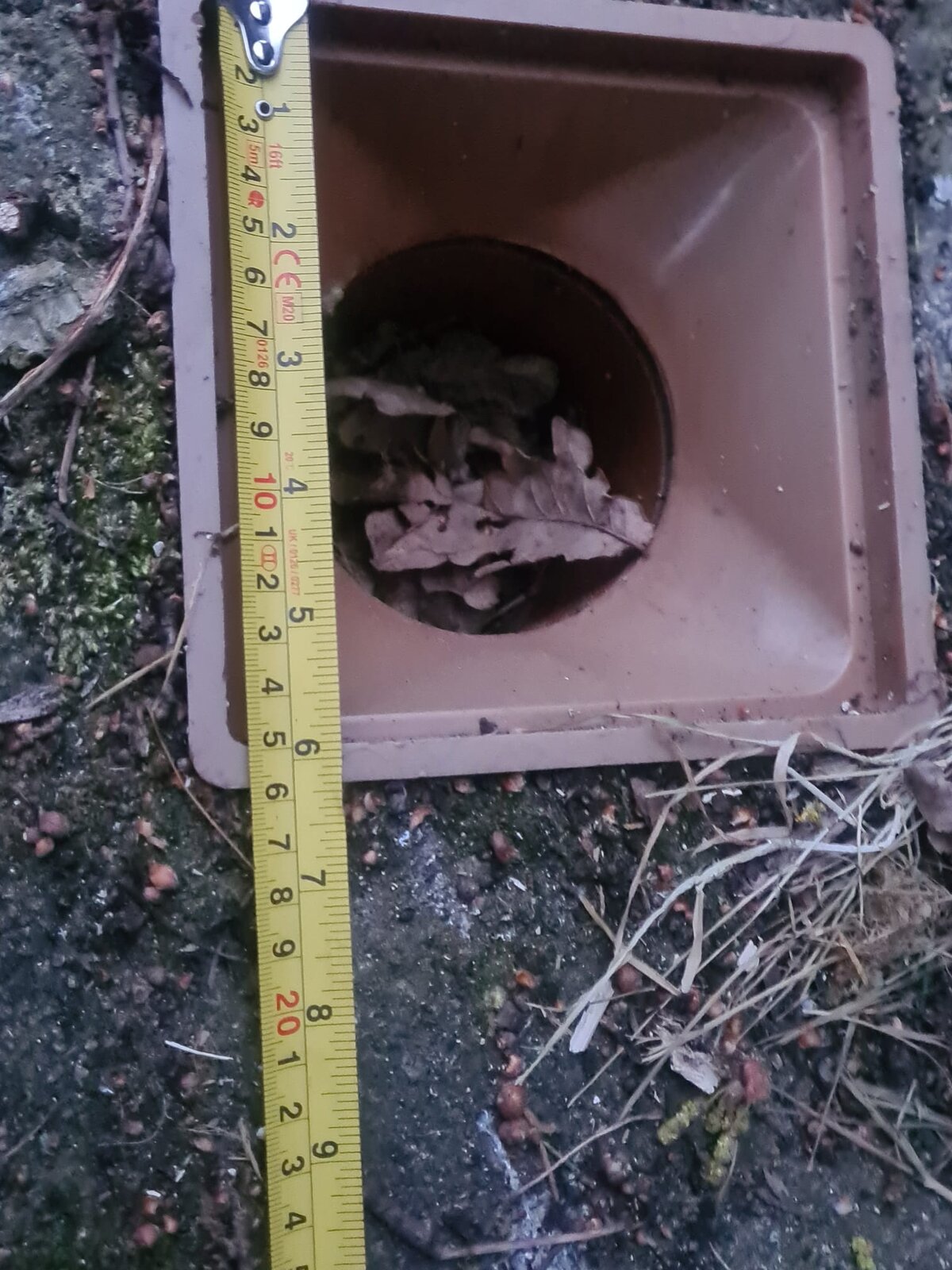 WhatsApp Image 2022-05-13 at 12.28.35 AM.jpeg