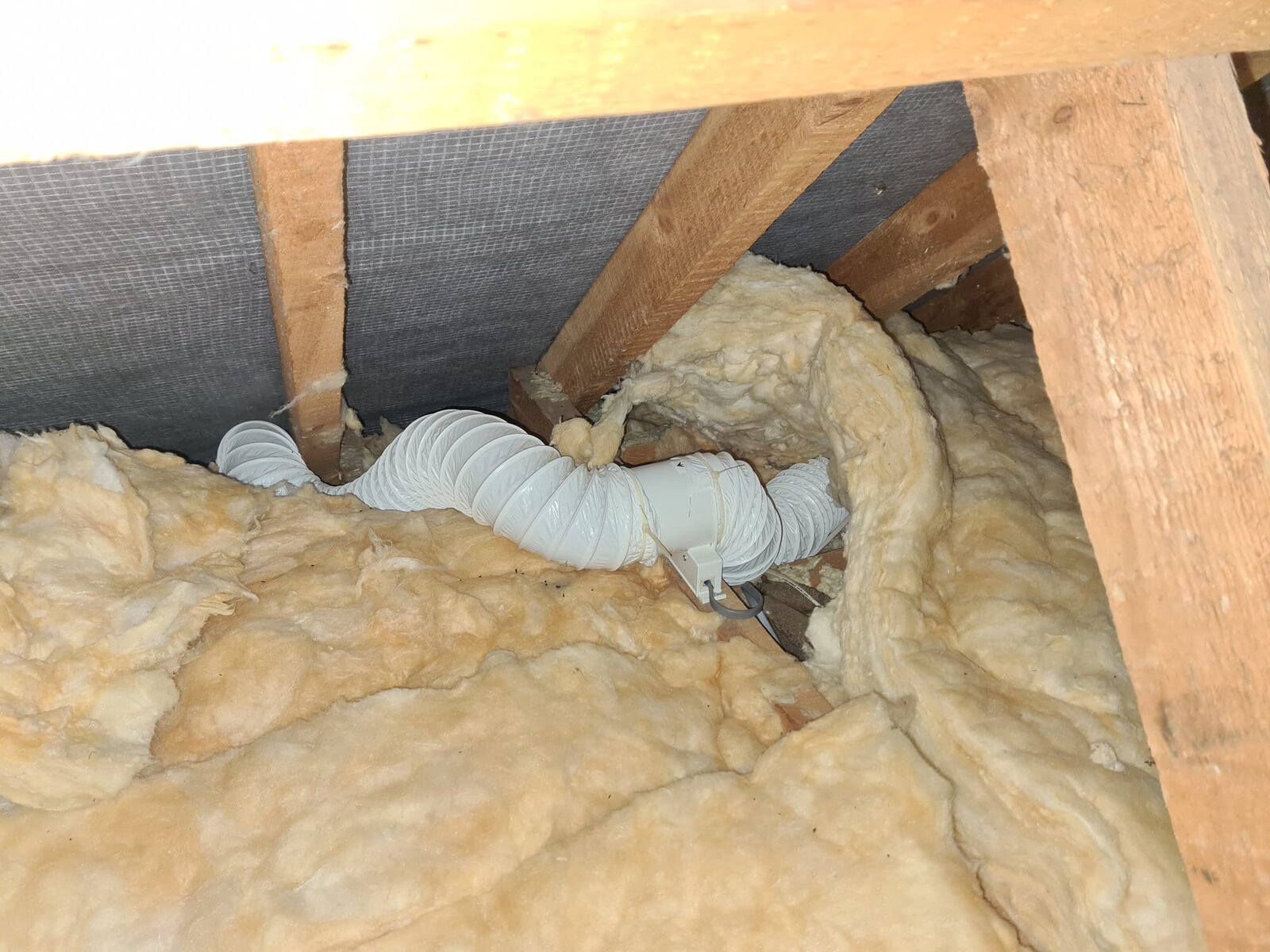 WhatsApp Image 2022-06-05 at 11.01.11 PM.jpeg