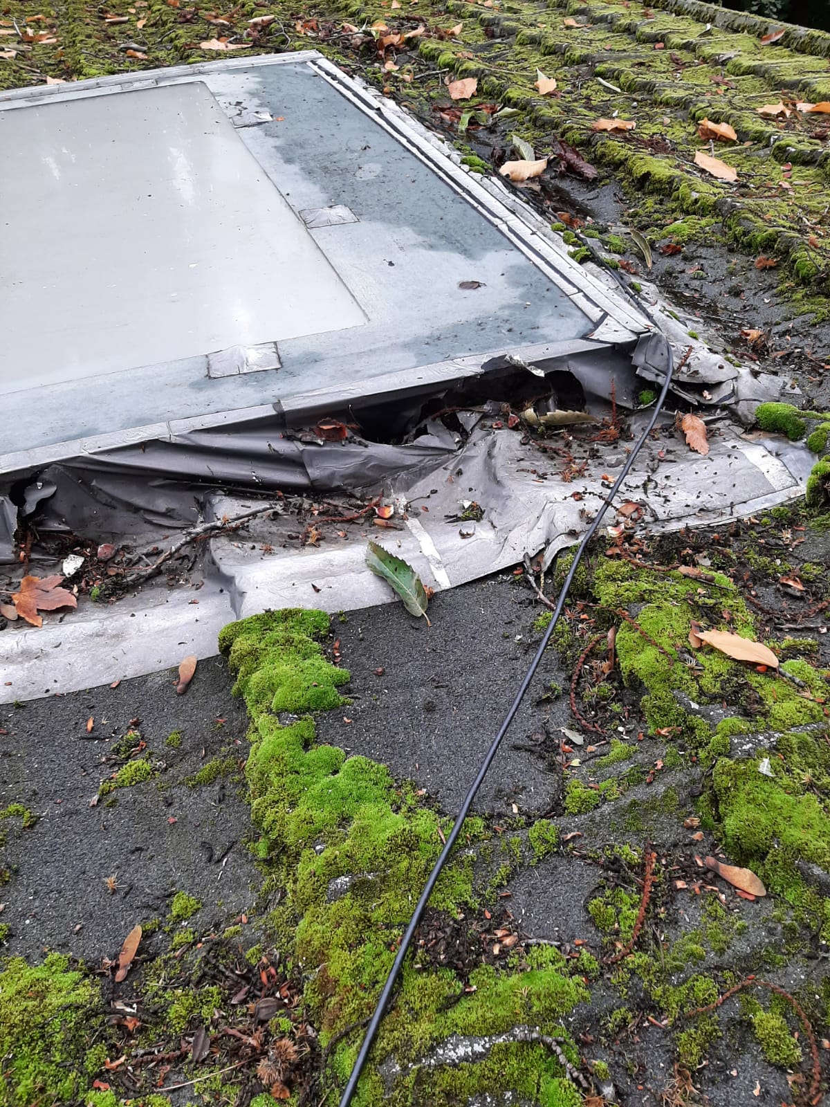 WhatsApp Image 2022-10-14 at 16.57.38 (1).jpeg