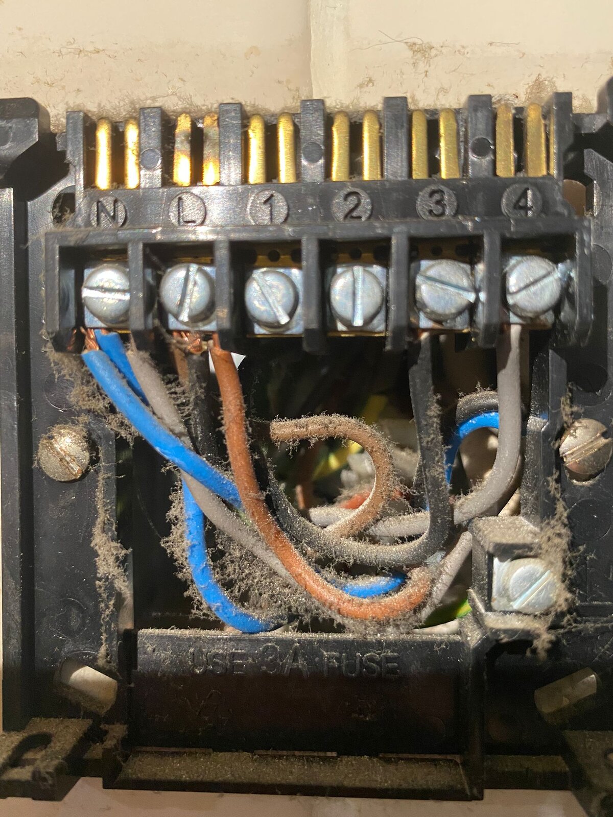 WhatsApp Image 2022-11-02 at 10.59.37 PM.jpeg