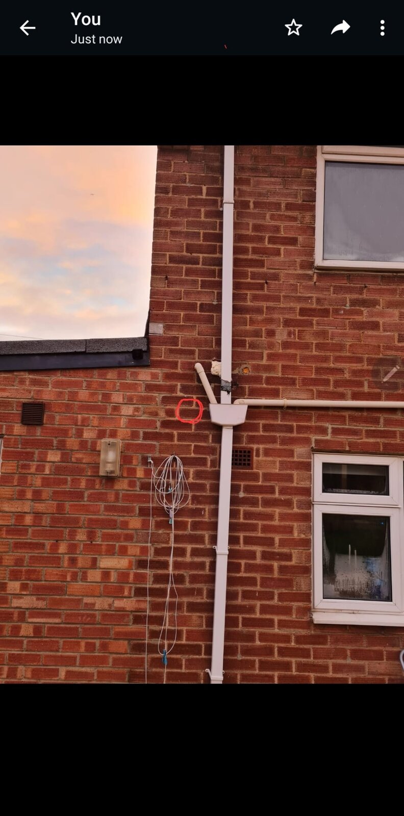 WhatsApp Image 2022-12-08 at 16.36.04.jpeg