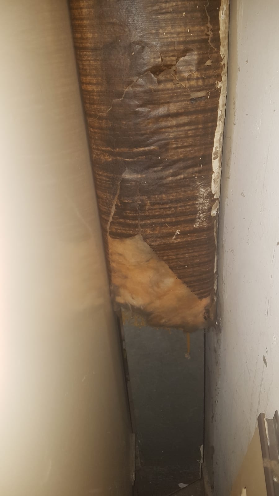 WhatsApp Image 2022-12-13 at 20.05.20.jpeg