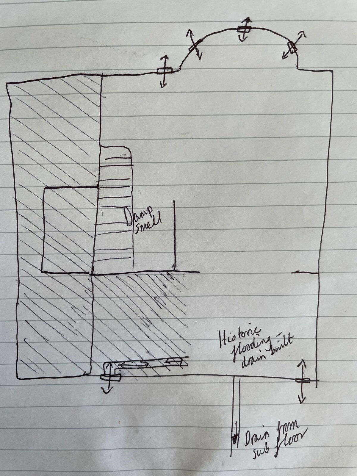 WhatsApp Image 2023-08-01 at 16.39.17.jpeg