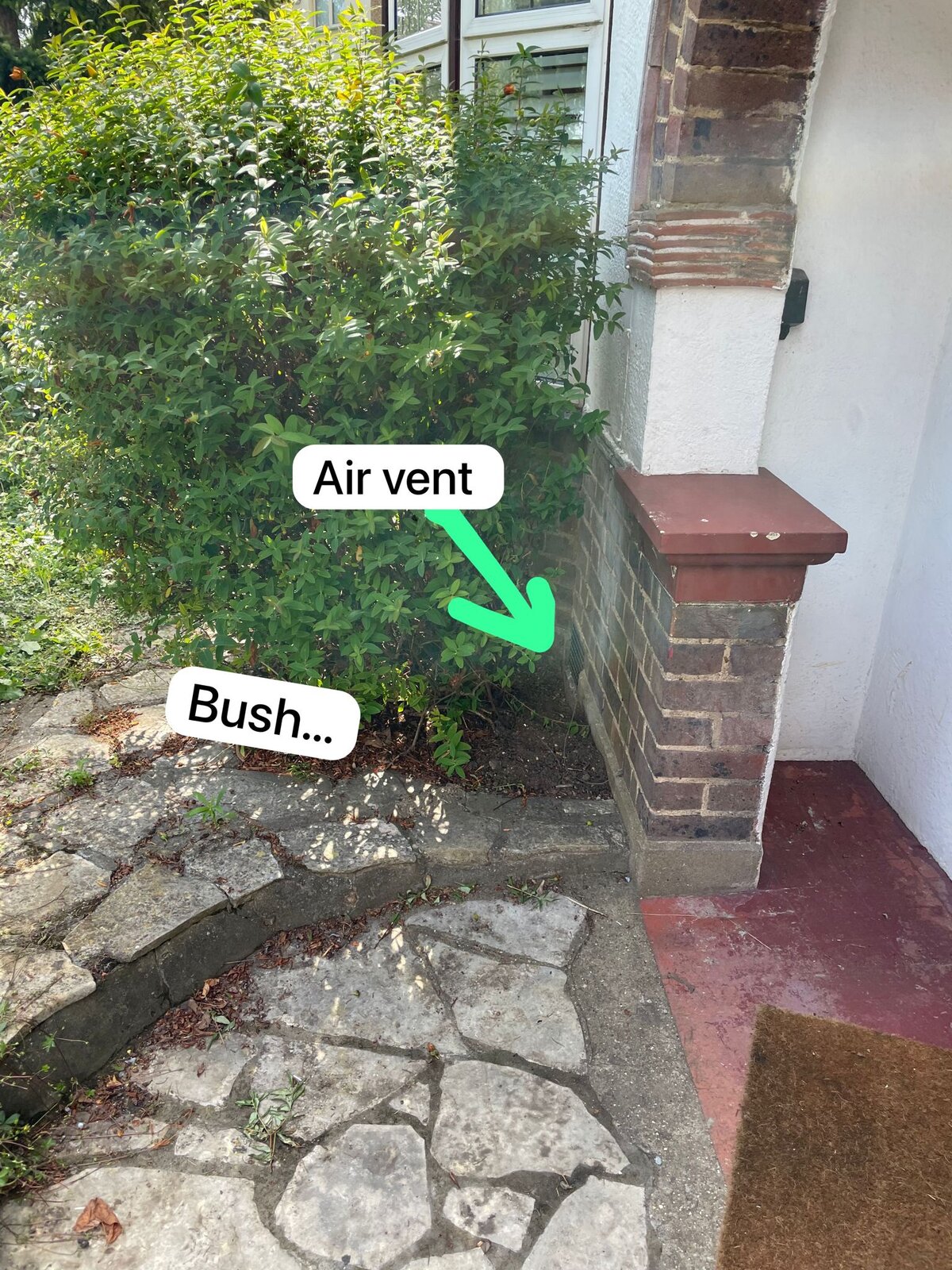 WhatsApp Image 2023-08-01 at 16.41.42.jpeg