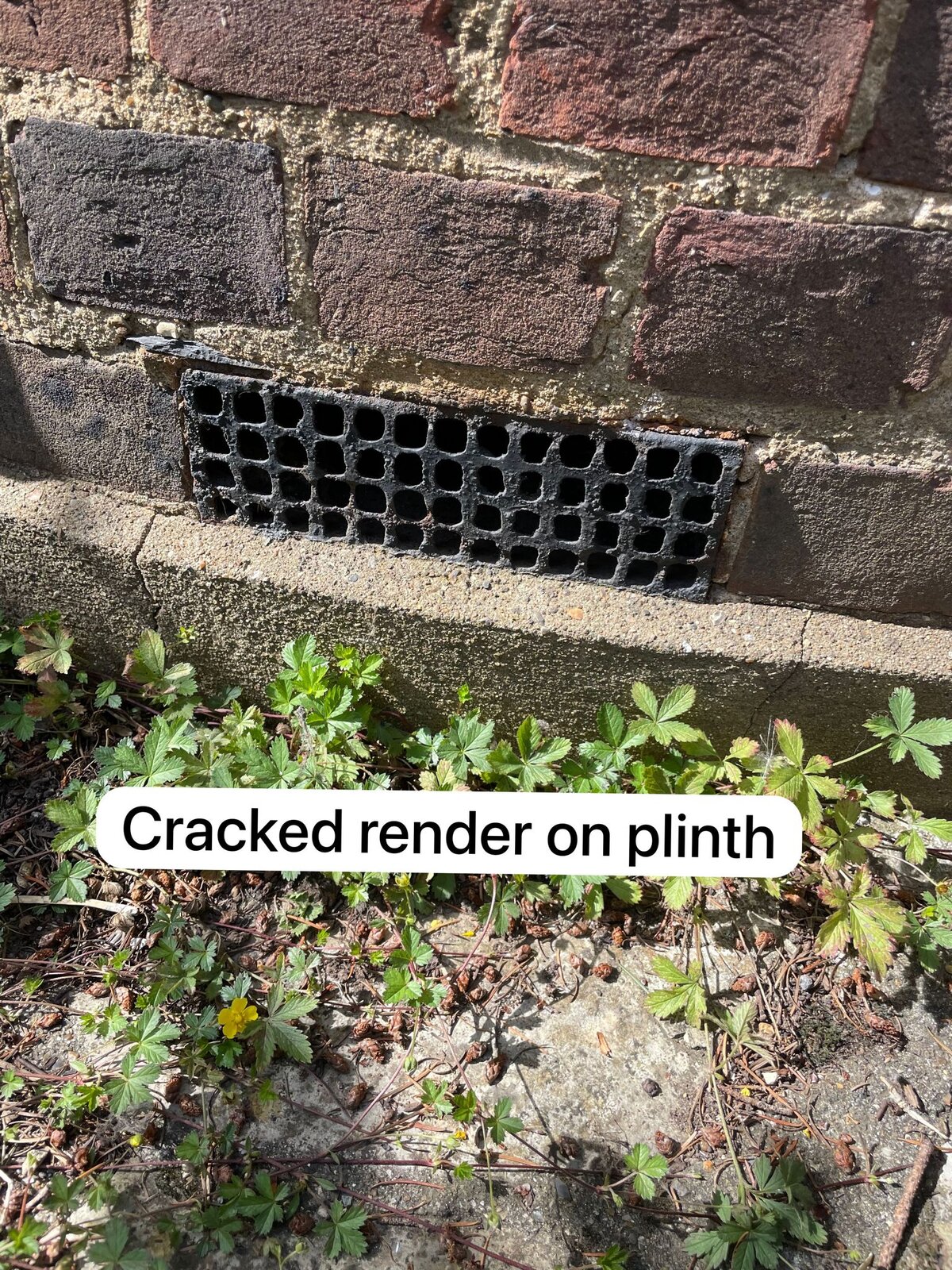 WhatsApp Image 2023-08-01 at 16.42.41.jpeg