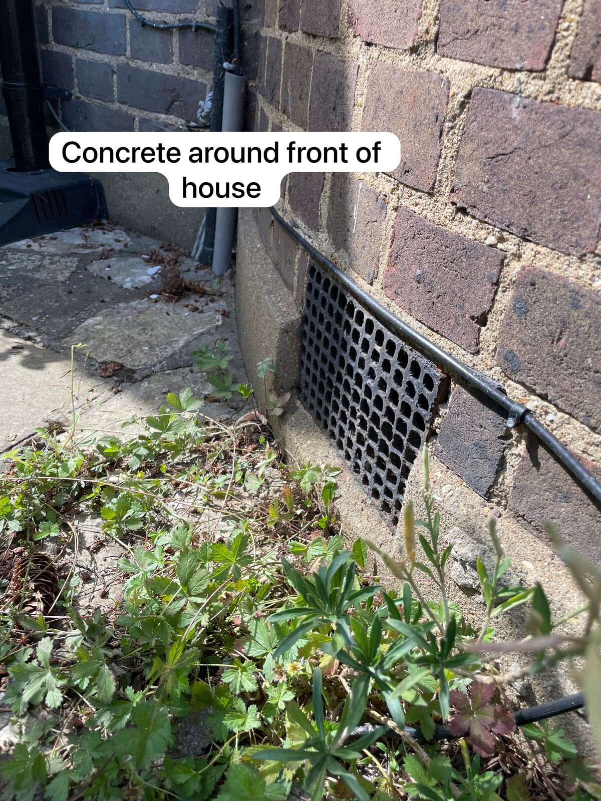 WhatsApp Image 2023-08-01 at 16.43.07.jpeg