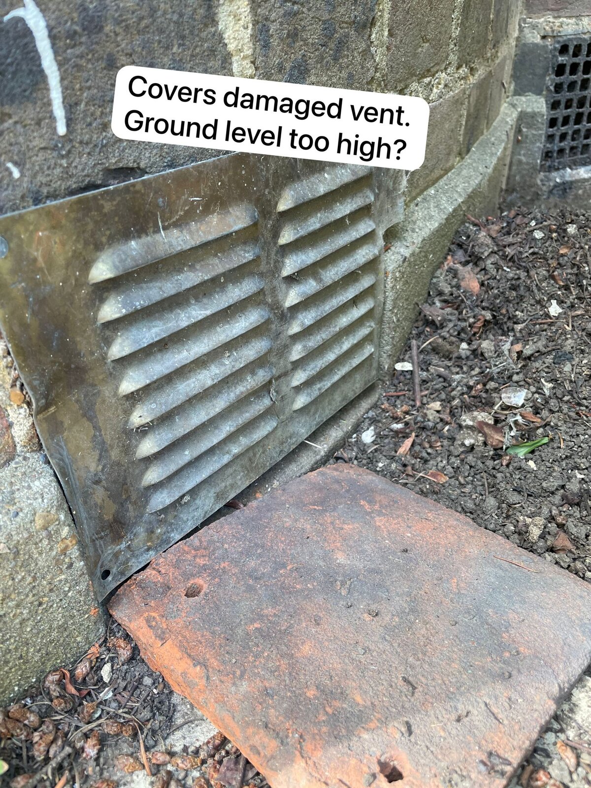 WhatsApp Image 2023-08-01 at 16.43.43.jpeg