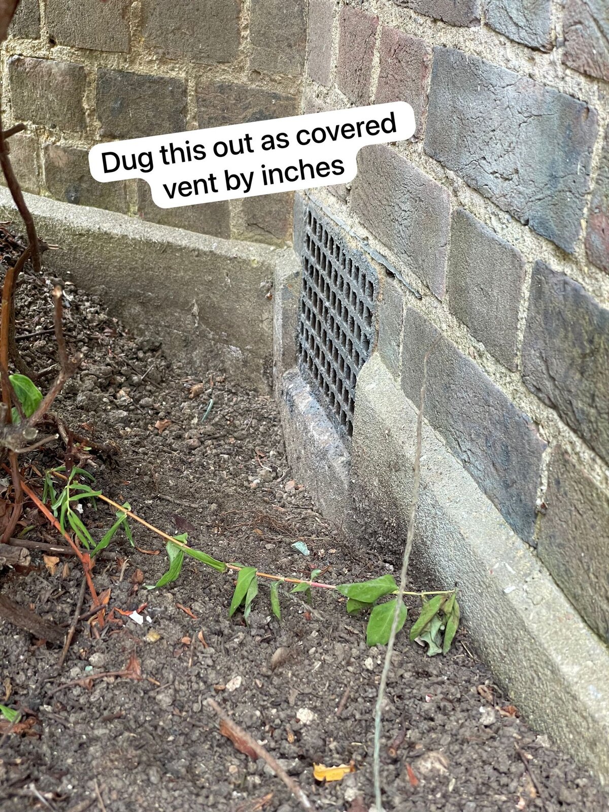 WhatsApp Image 2023-08-01 at 16.44.09.jpeg