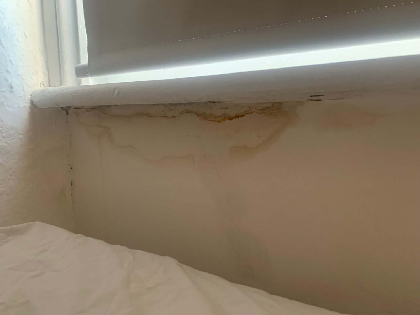Damp Under Window Ledge On Inside DIYnot Forums