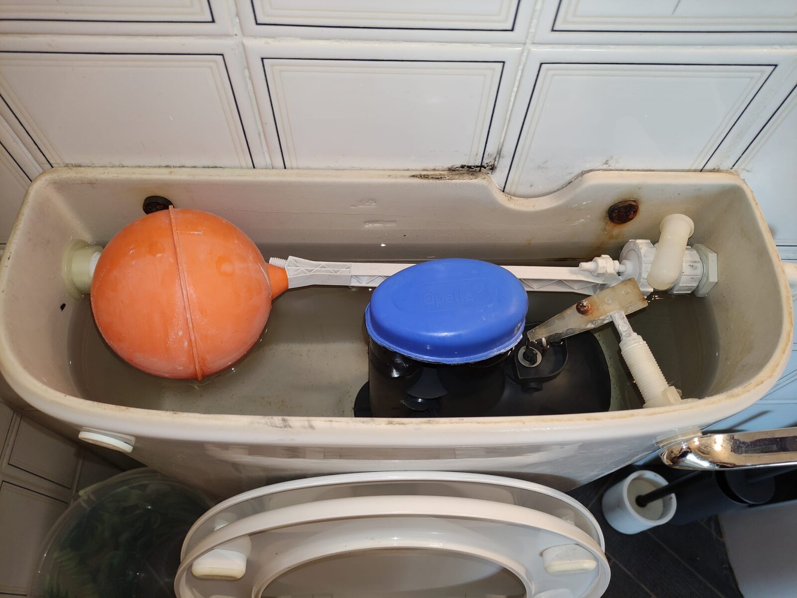 WhatsApp Image 2023-10-20 at 16.02.56(1).jpeg