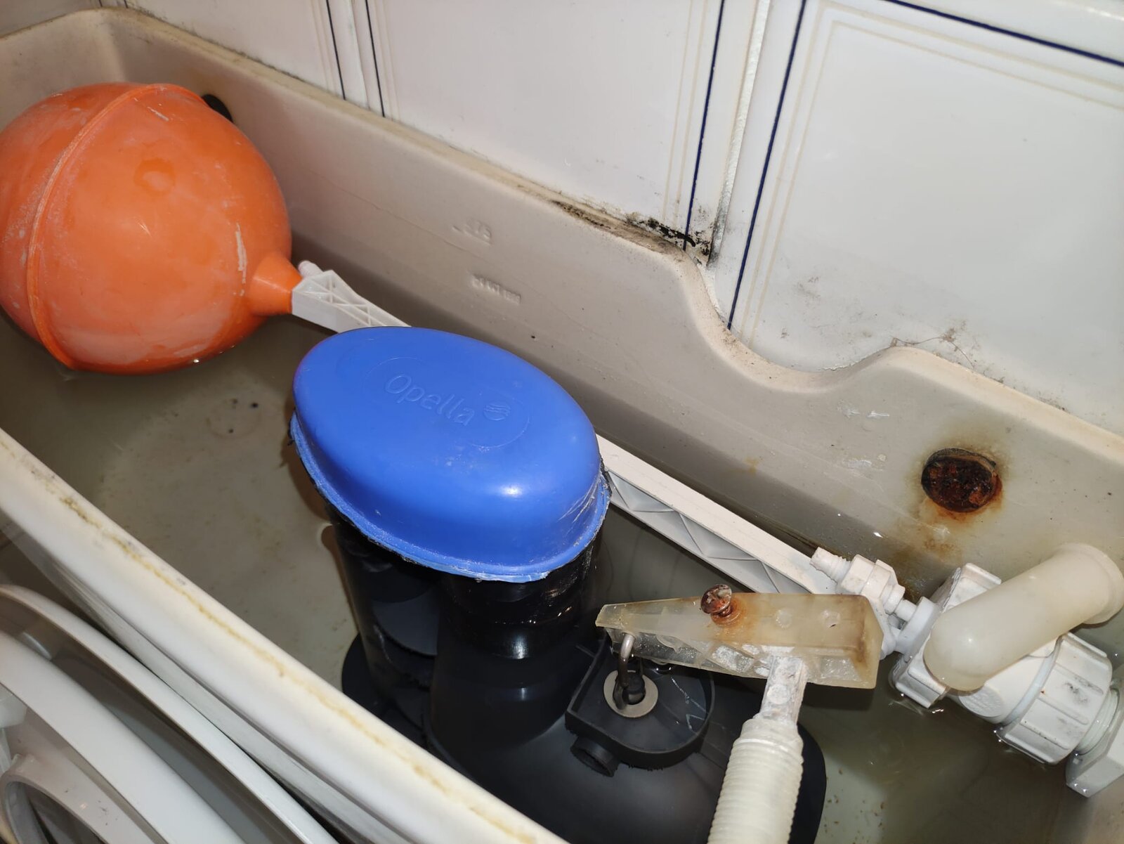 WhatsApp Image 2023-10-20 at 16.02.56.jpeg