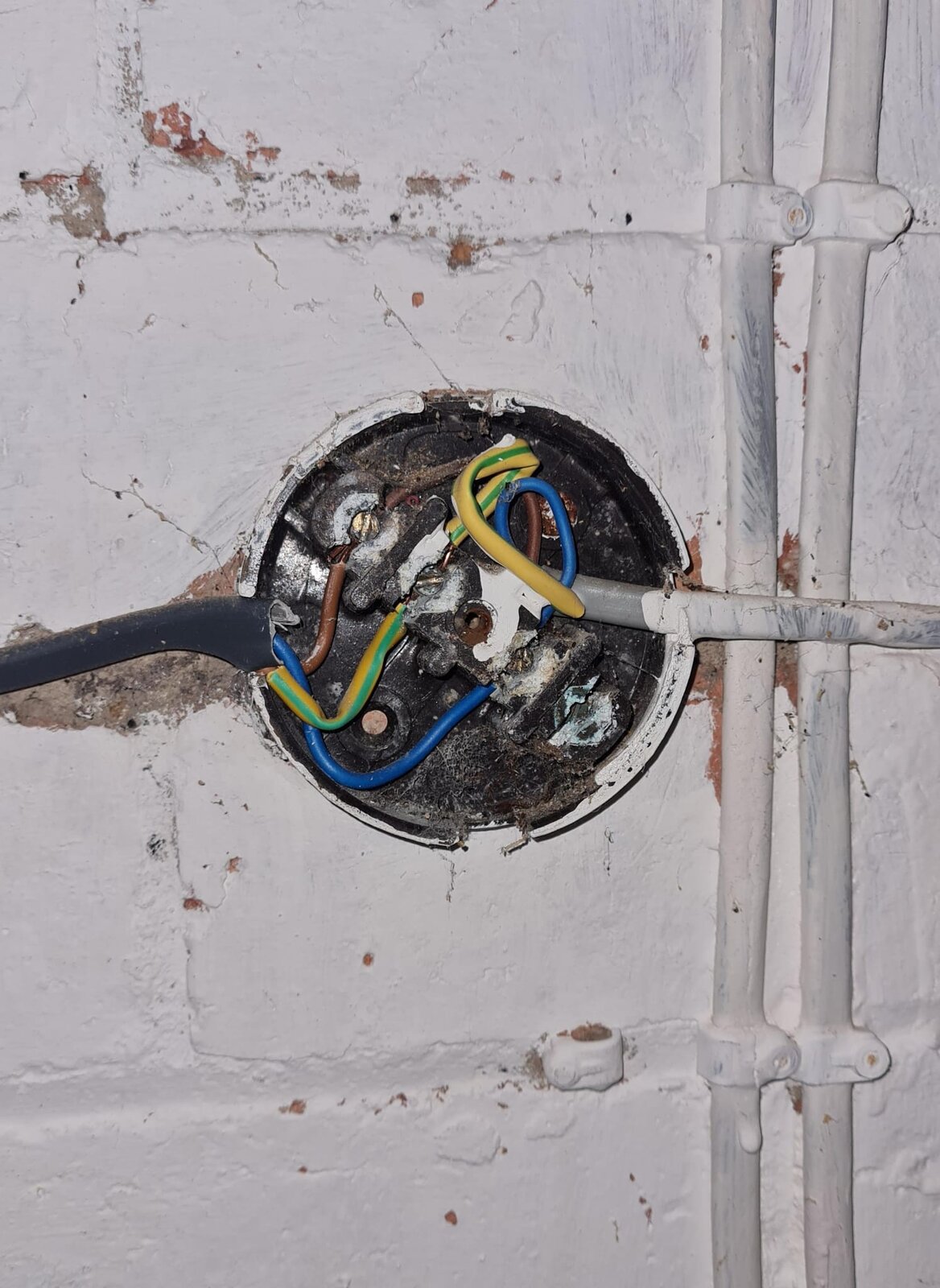 WhatsApp Image 2023-11-19 at 13.05.24.jpeg