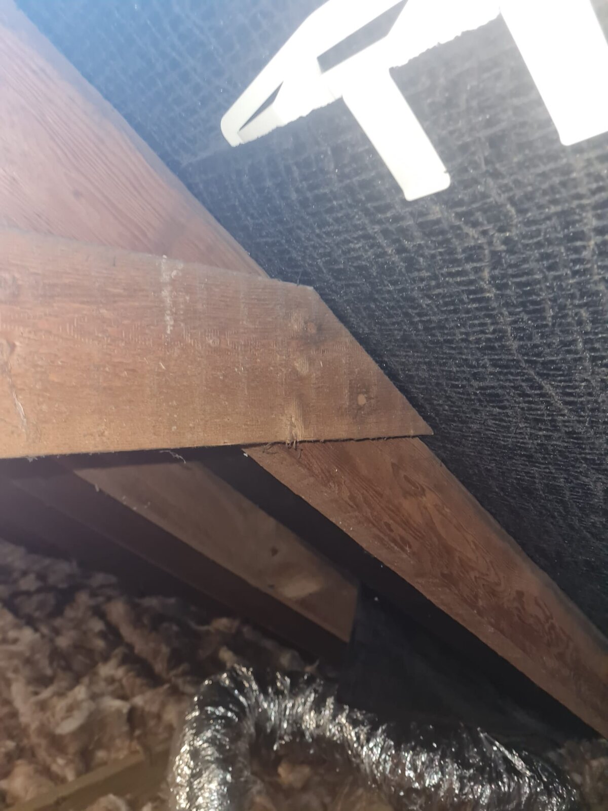 WhatsApp Image 2024-02-28 at 09.21.13.jpeg