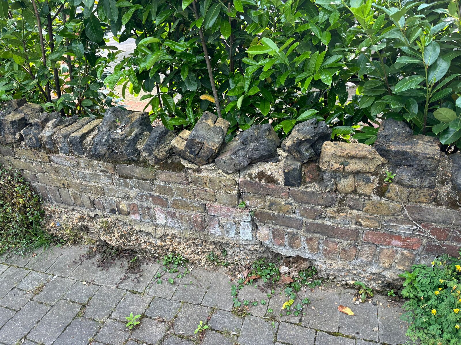 WhatsApp Image 2024-05-18 at 17.27.15 (2).jpeg