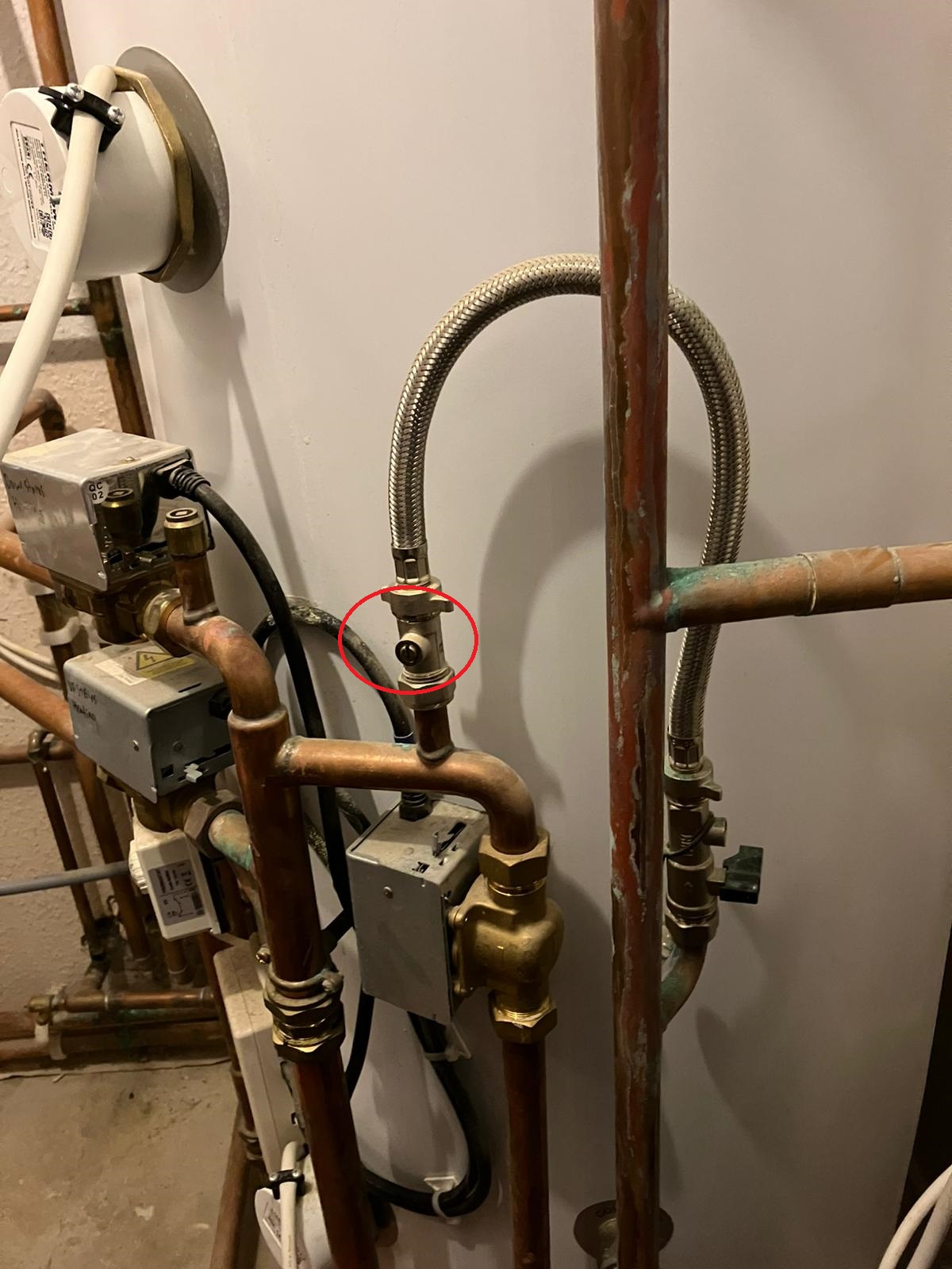 WhatsApp Image 2024-09-28 at 14.14.15.jpeg