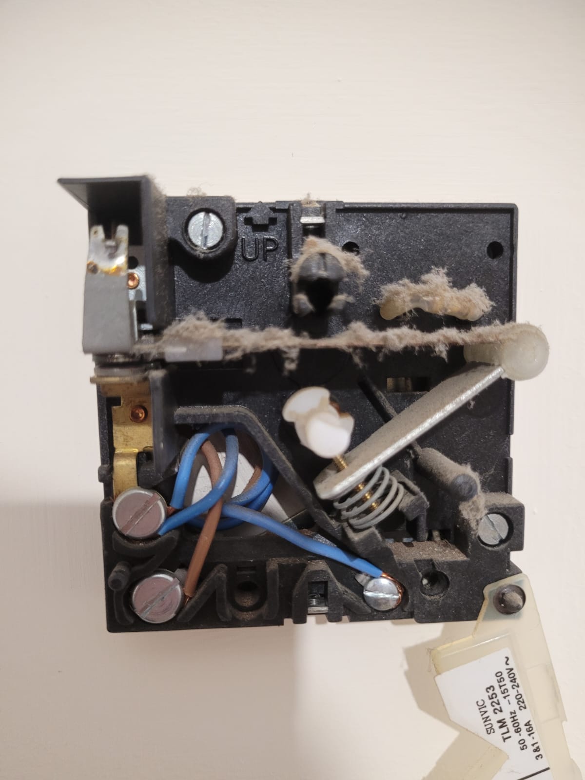 WhatsApp Image 2025-01-13 at 2.59.43 PM (1).jpeg