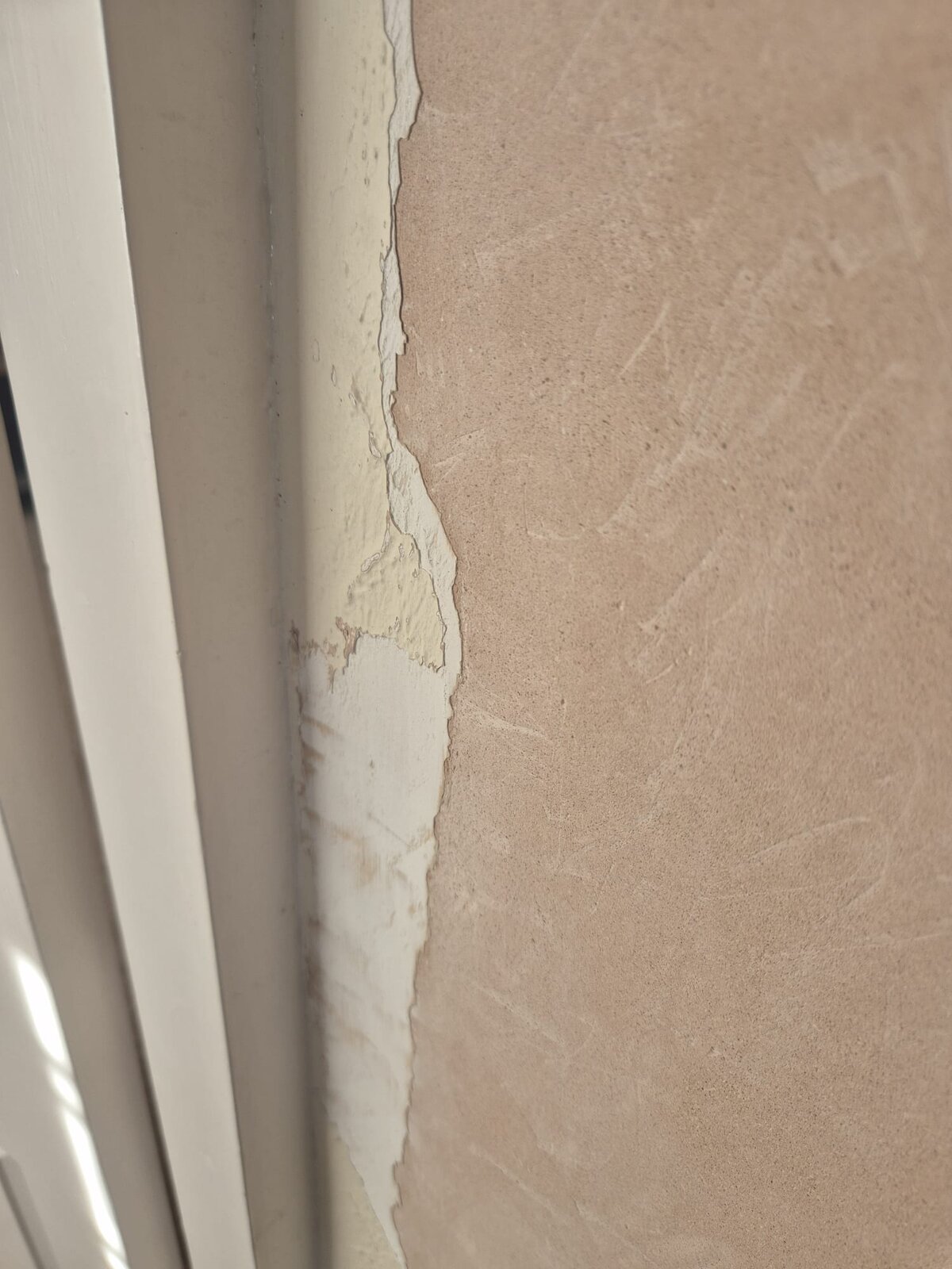 WhatsApp Image 2025-02-03 at 10.50.05_2e37d991.jpg