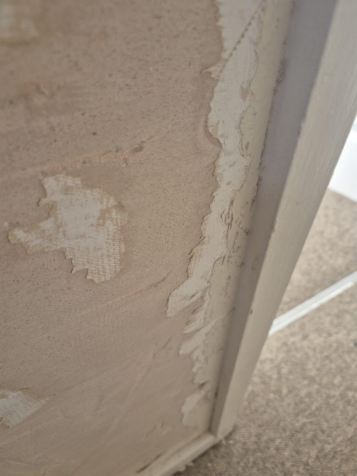 WhatsApp Image 2025-02-03 at 10.50.05_3c86b9f2.jpg