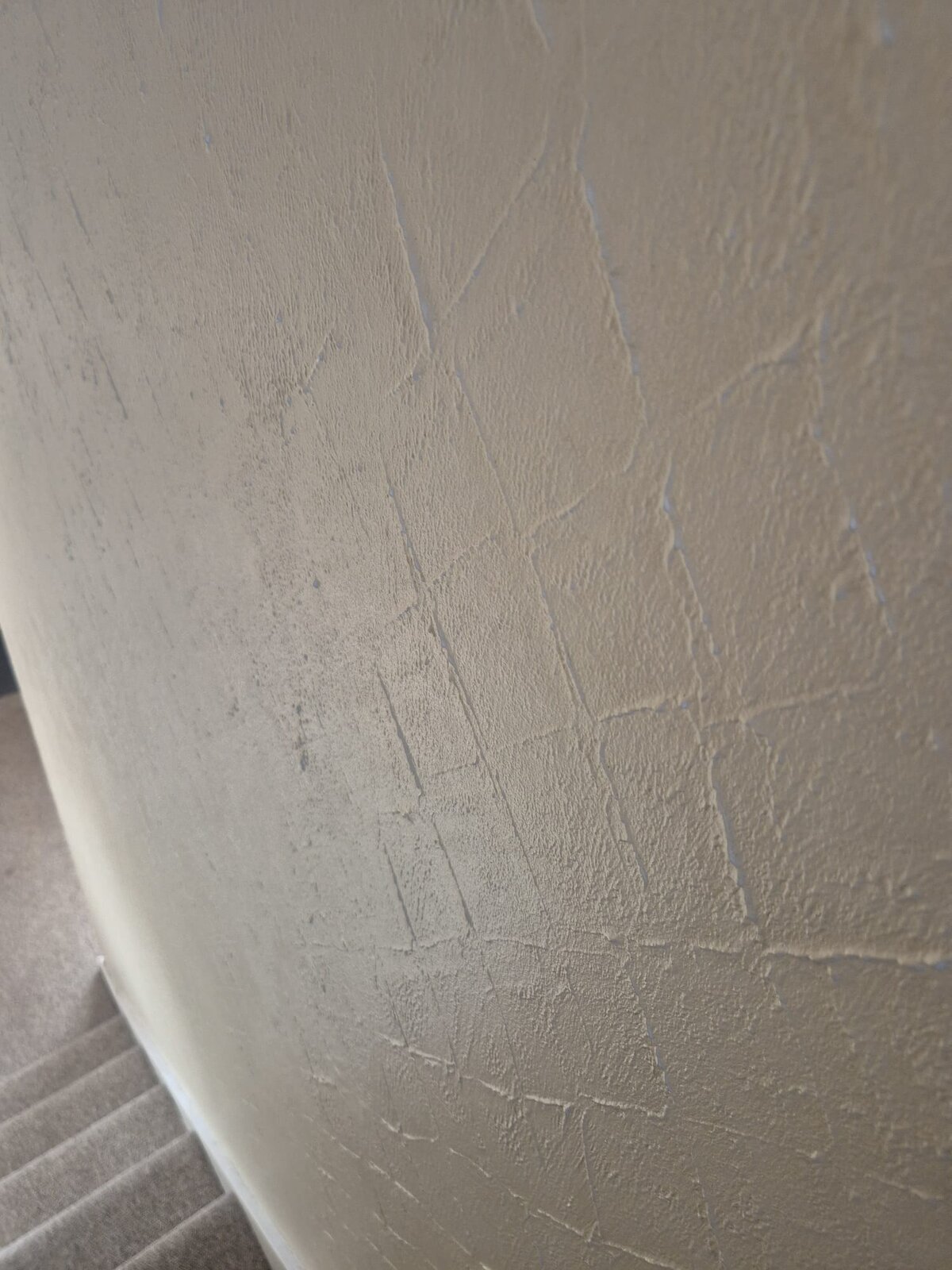 WhatsApp Image 2025-02-03 at 10.50.05_44cd603c.jpg