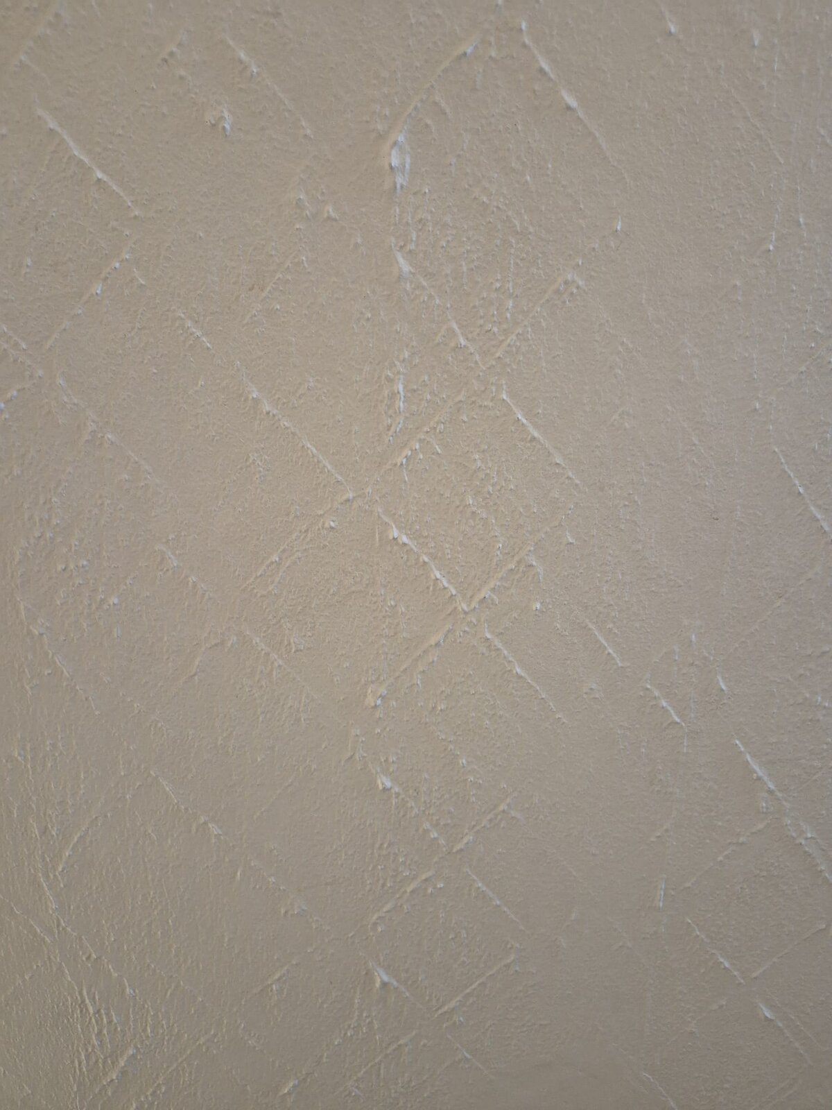 WhatsApp Image 2025-02-03 at 10.50.05_69f4aabd.jpg