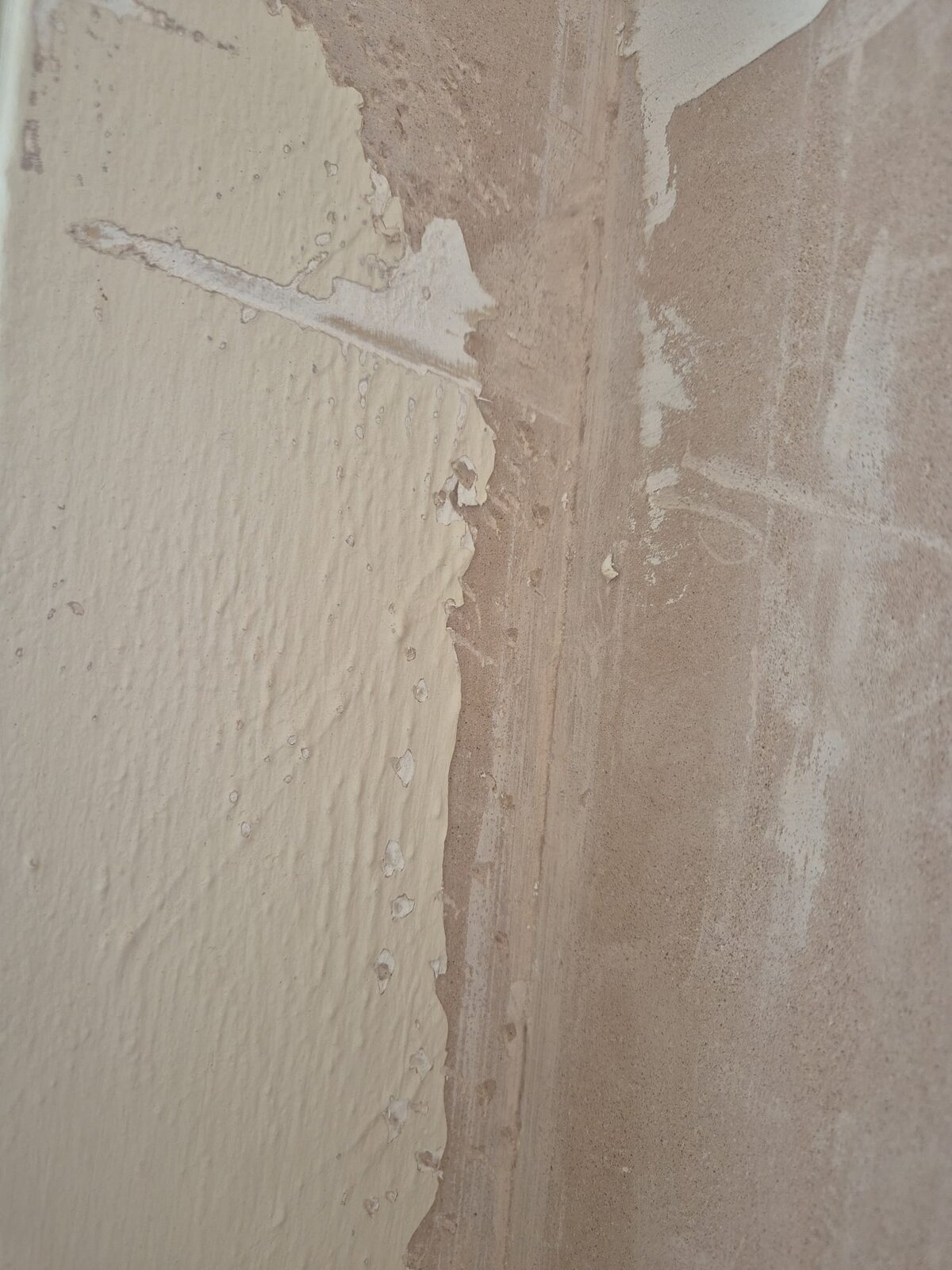 WhatsApp Image 2025-02-03 at 10.50.05_7517ba36.jpg